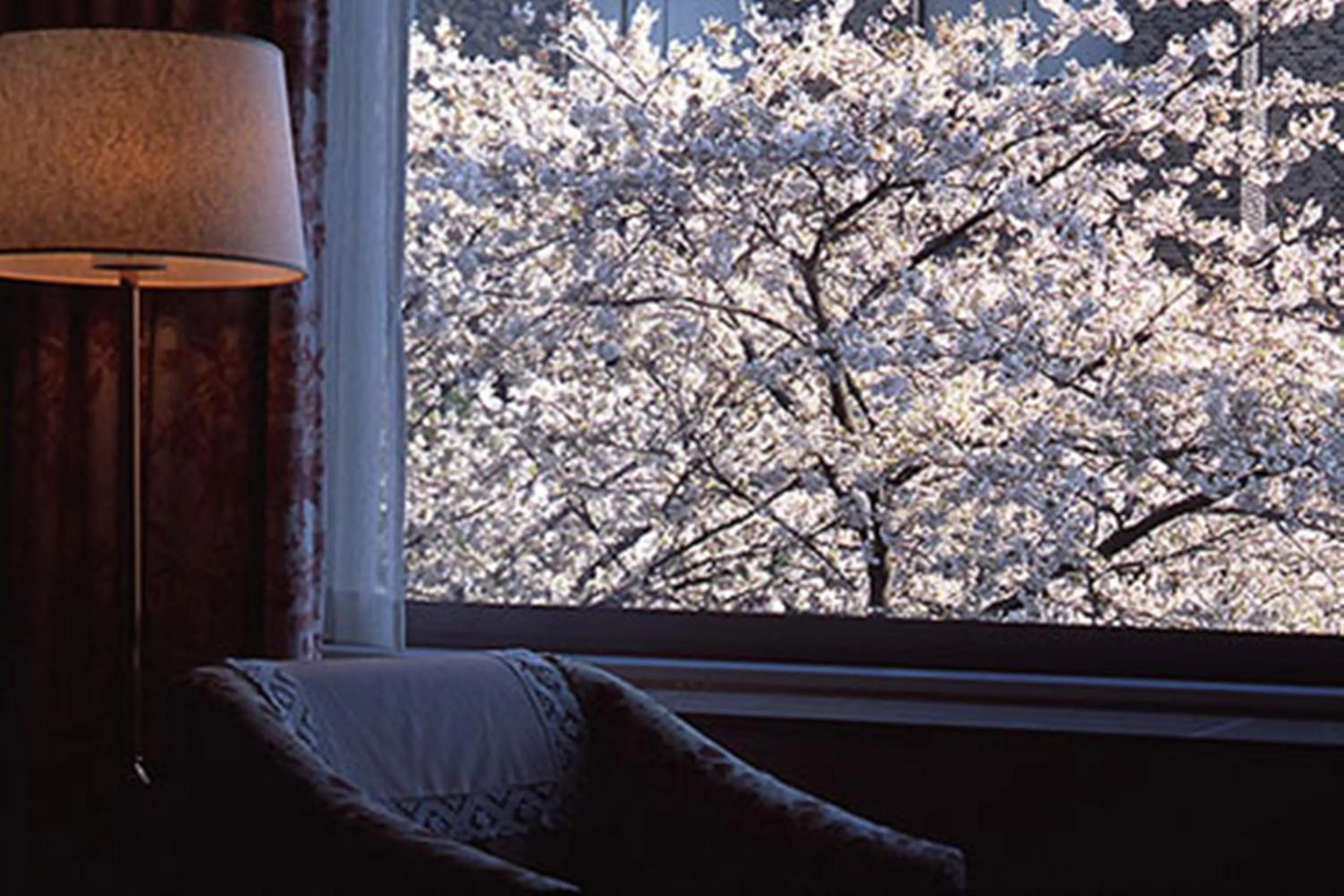 Other in The Prince Sakura Tower Tokyo, Autograph Collection