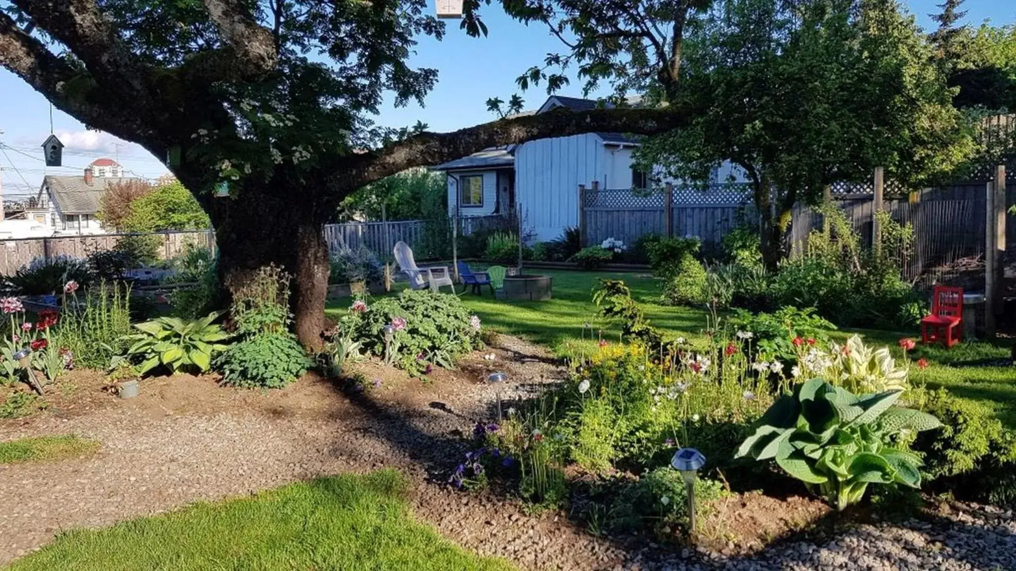 Garden, Property Building in Campbell Cottage B&B