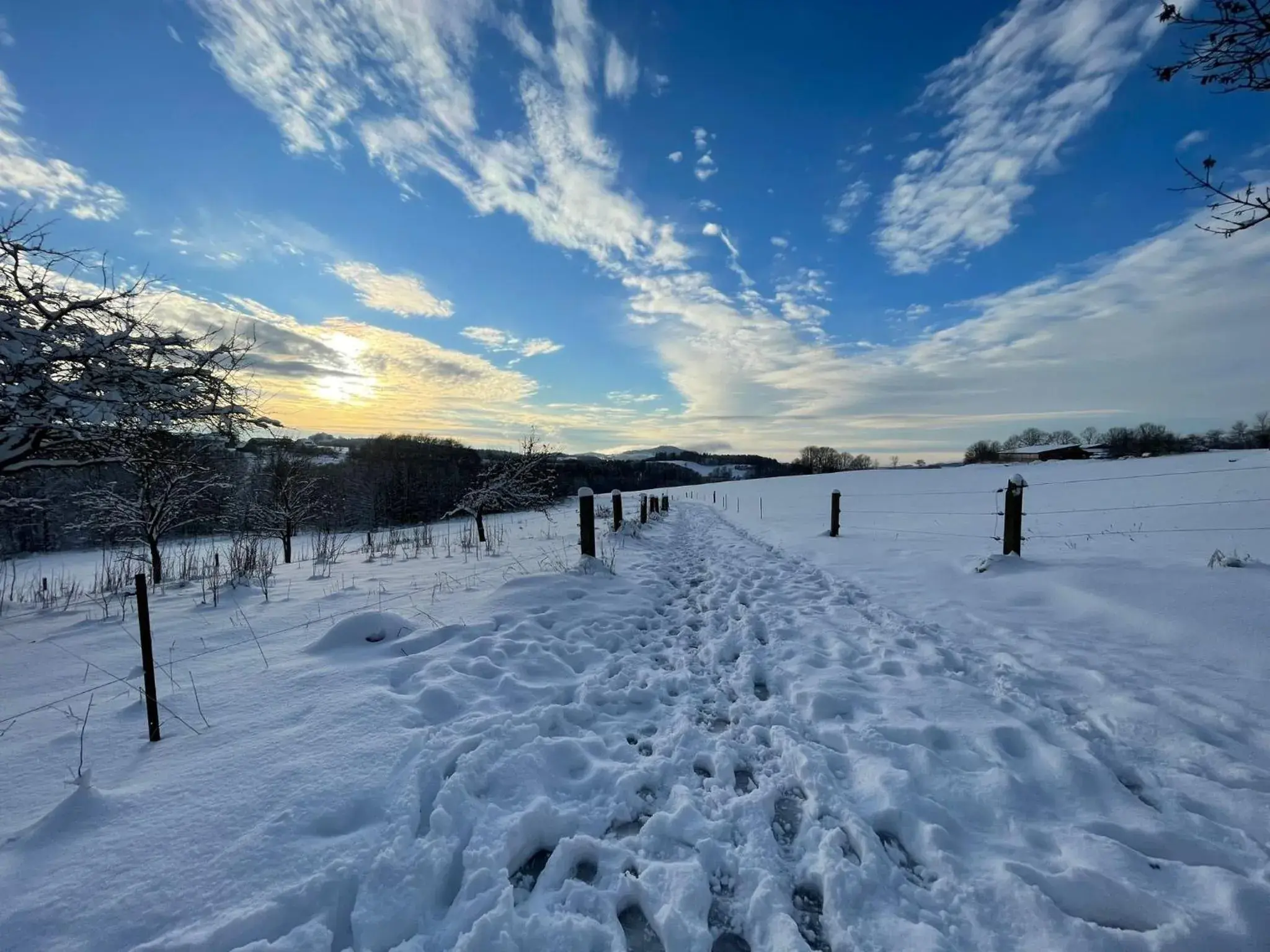 Hiking, Winter in Best Western Hotel Rhön Garden