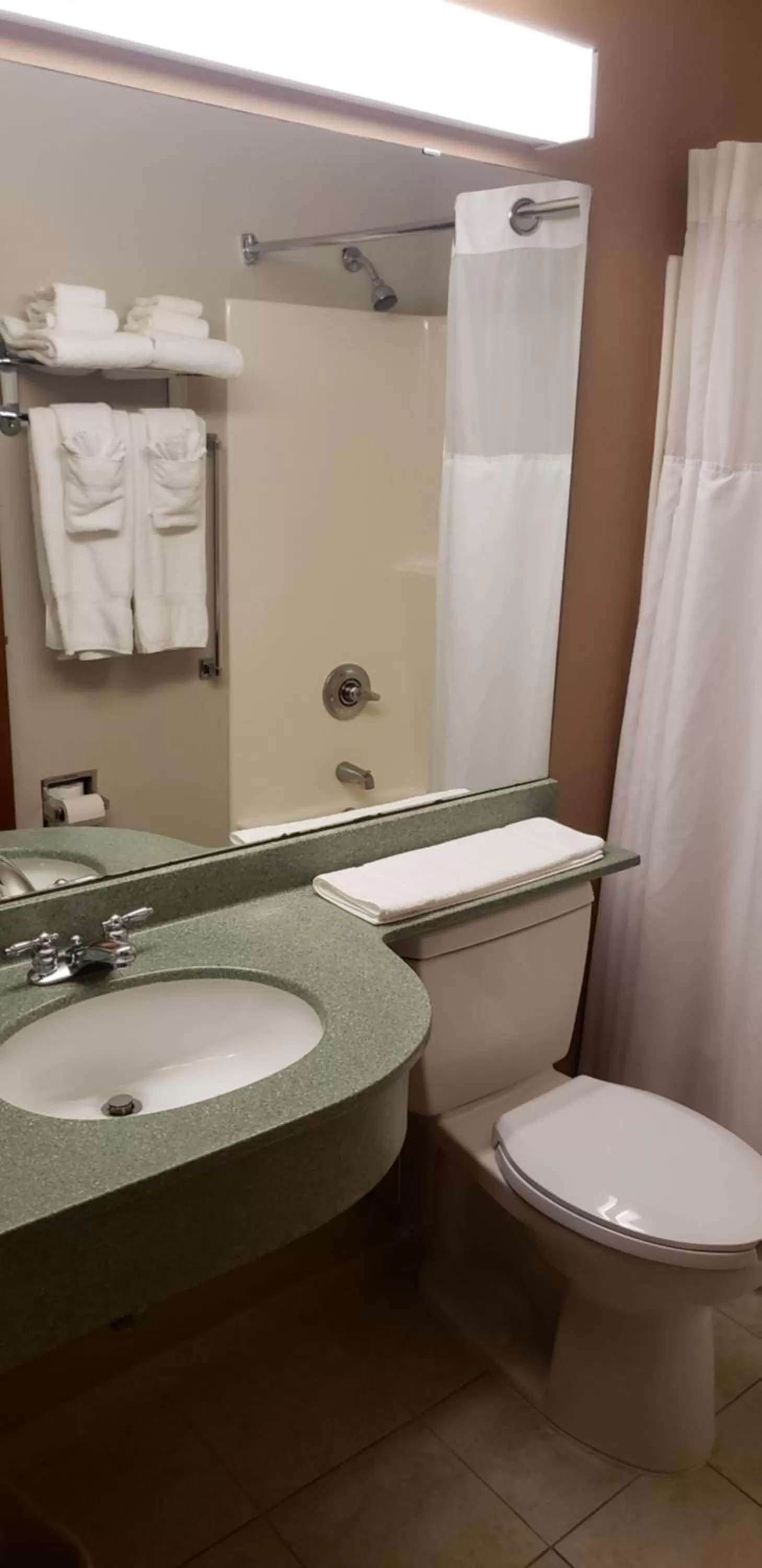 Toilet in York Microtel Inn & Suites by Wyndham