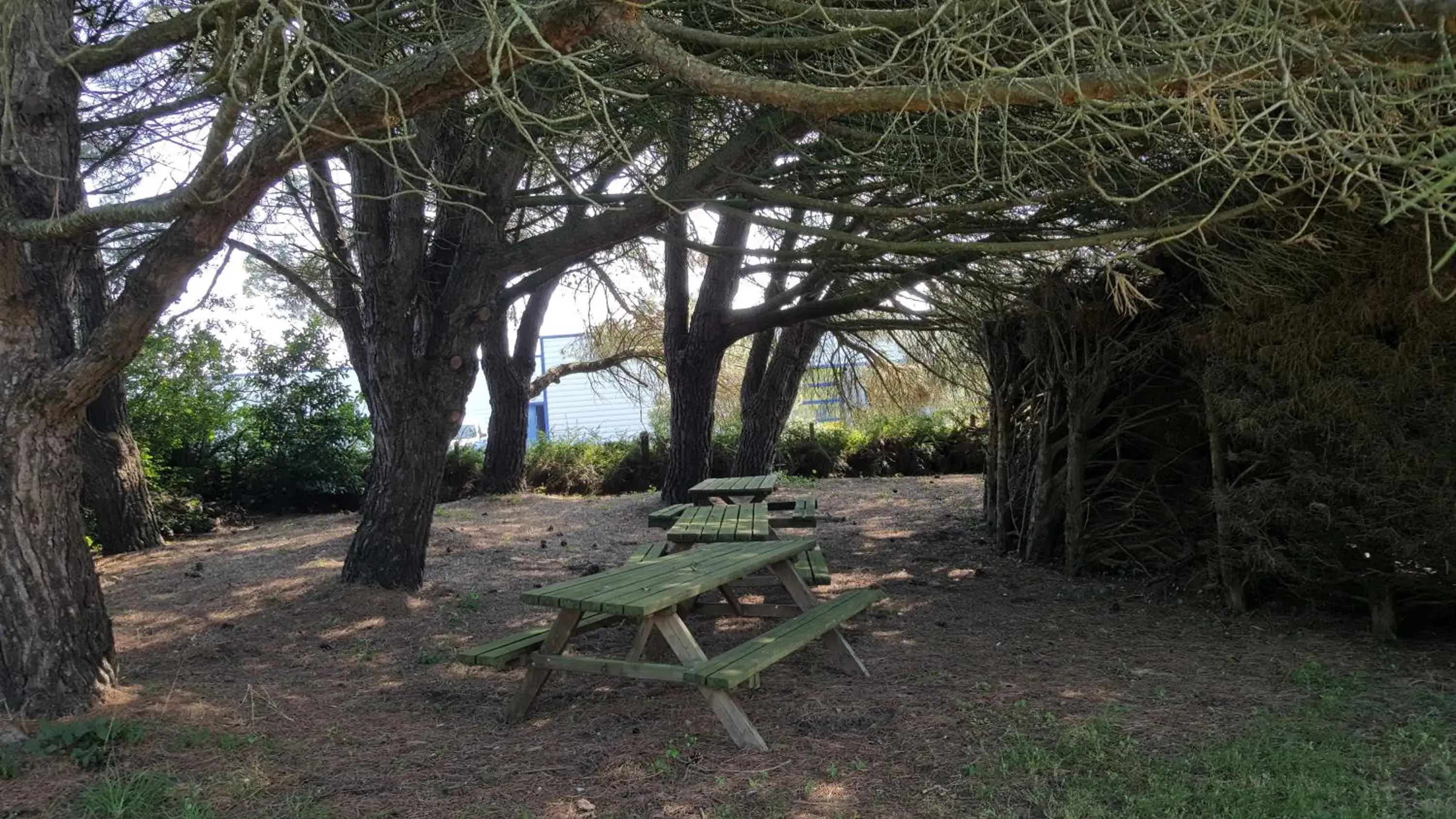 Garden in Hotel Le Cormier 9