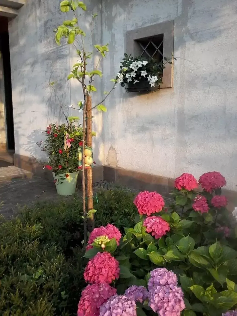 Garden view, Garden in Il giuggiolo