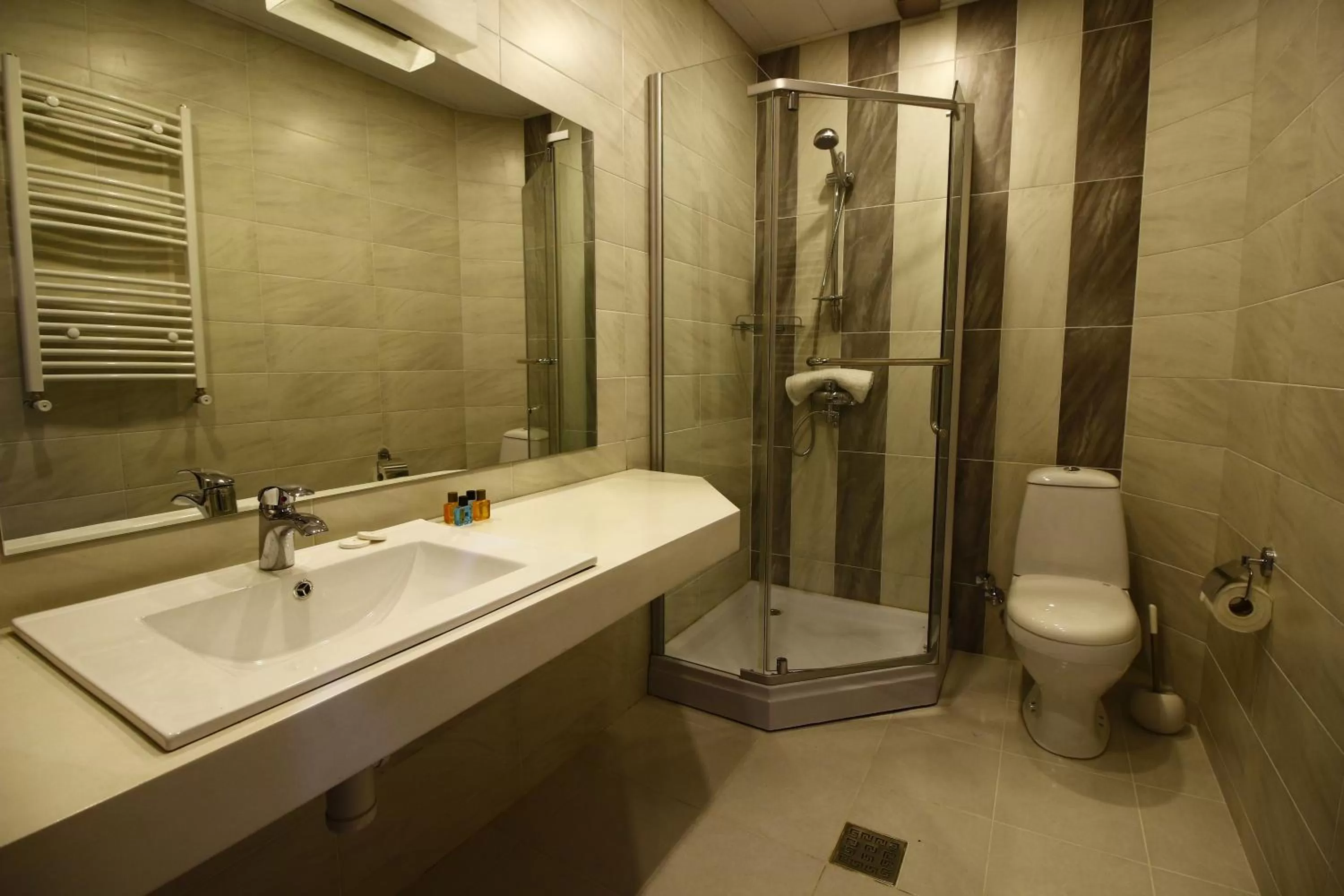 Bathroom in Sani Hotel