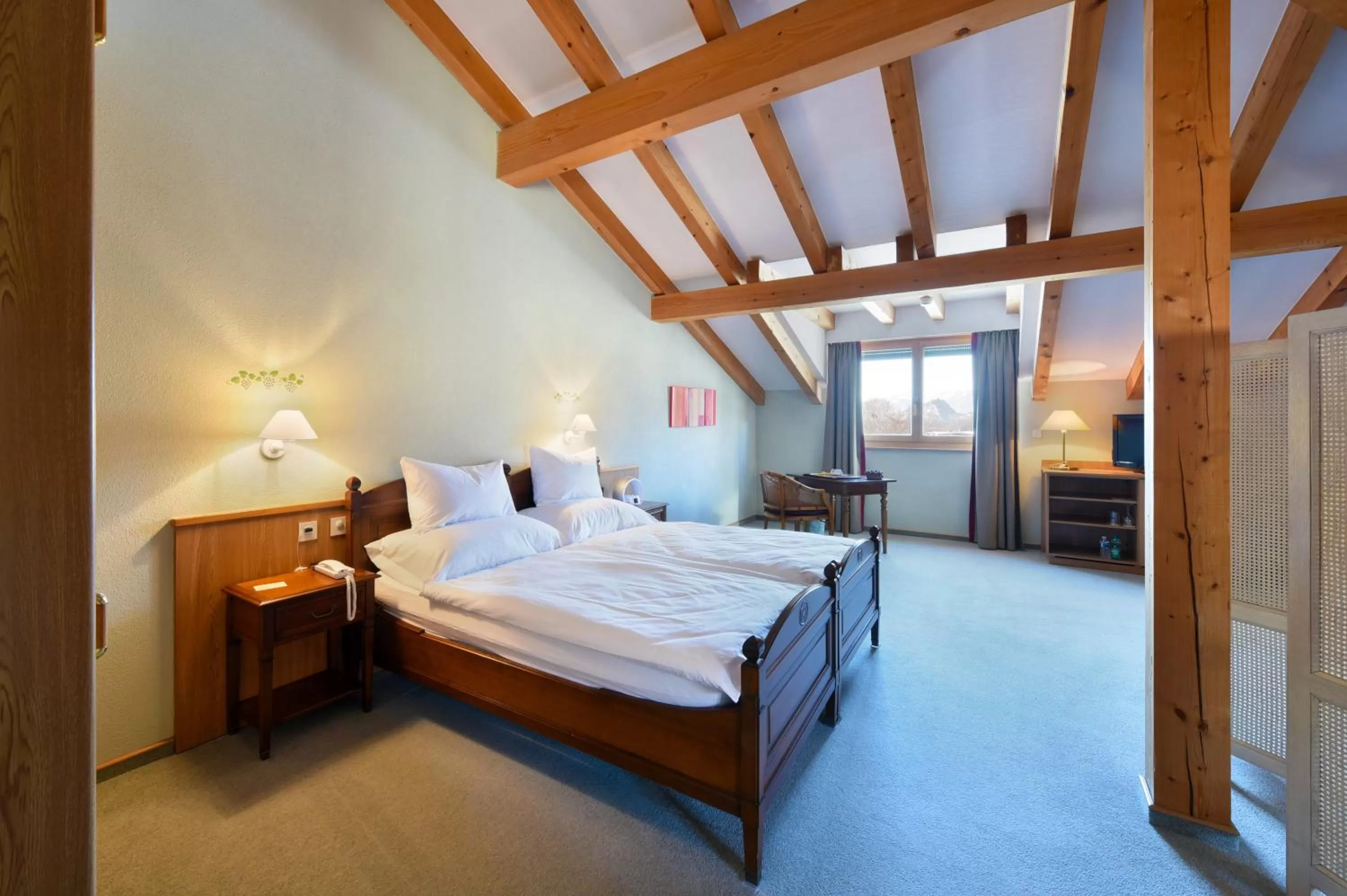 Photo of the whole room in Hôtel des Vignes