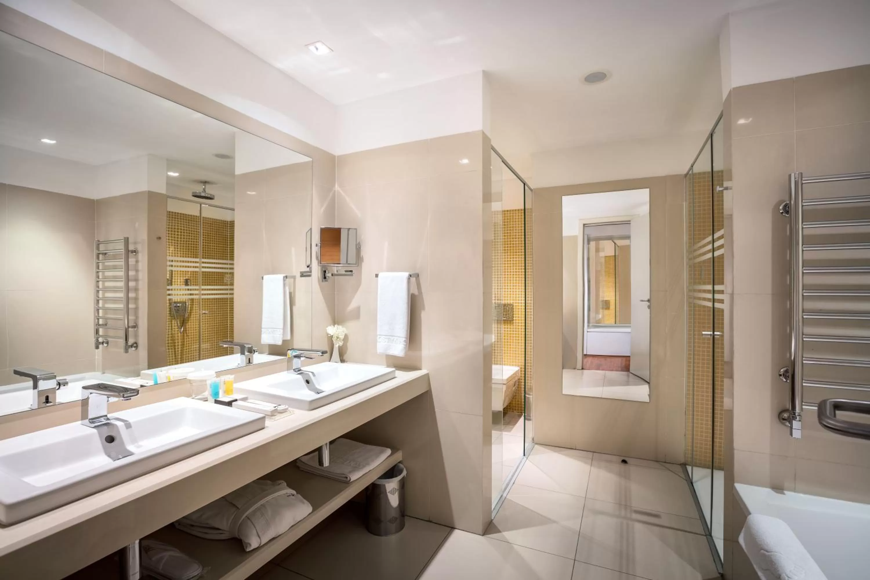 Photo of the whole room in The Dostyk Hotel