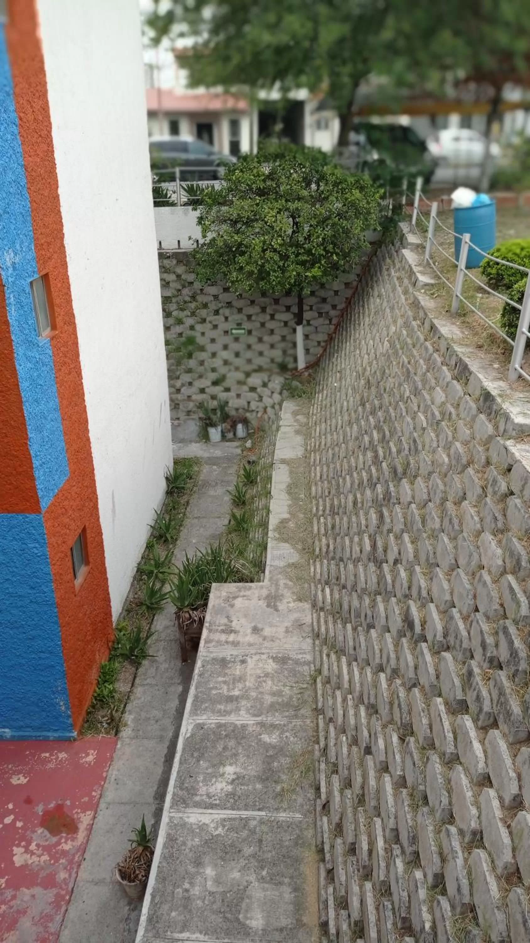Inner courtyard view in Confort Ejecutivo Suites Lindavista