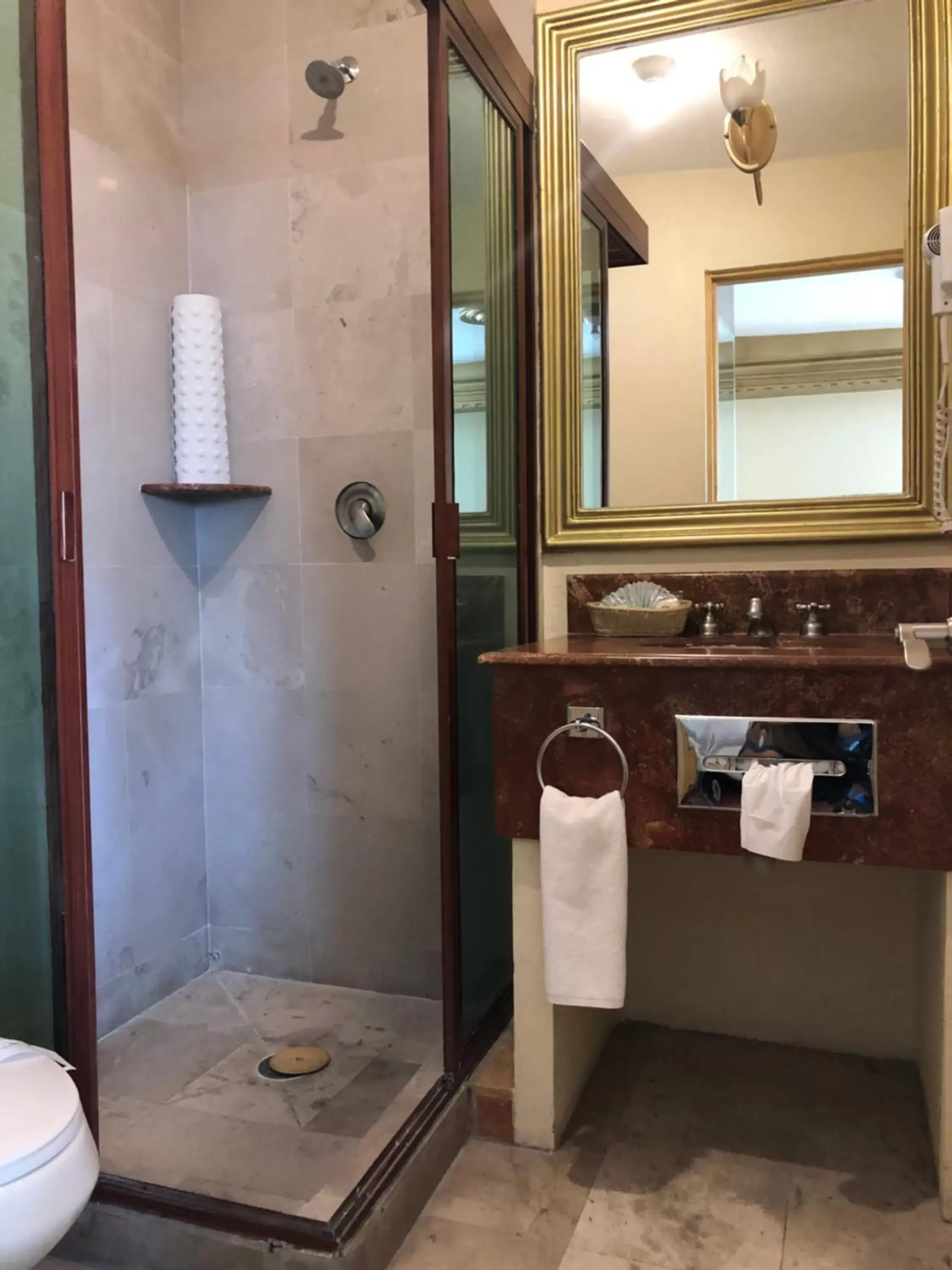Bathroom in Hotel Elena
