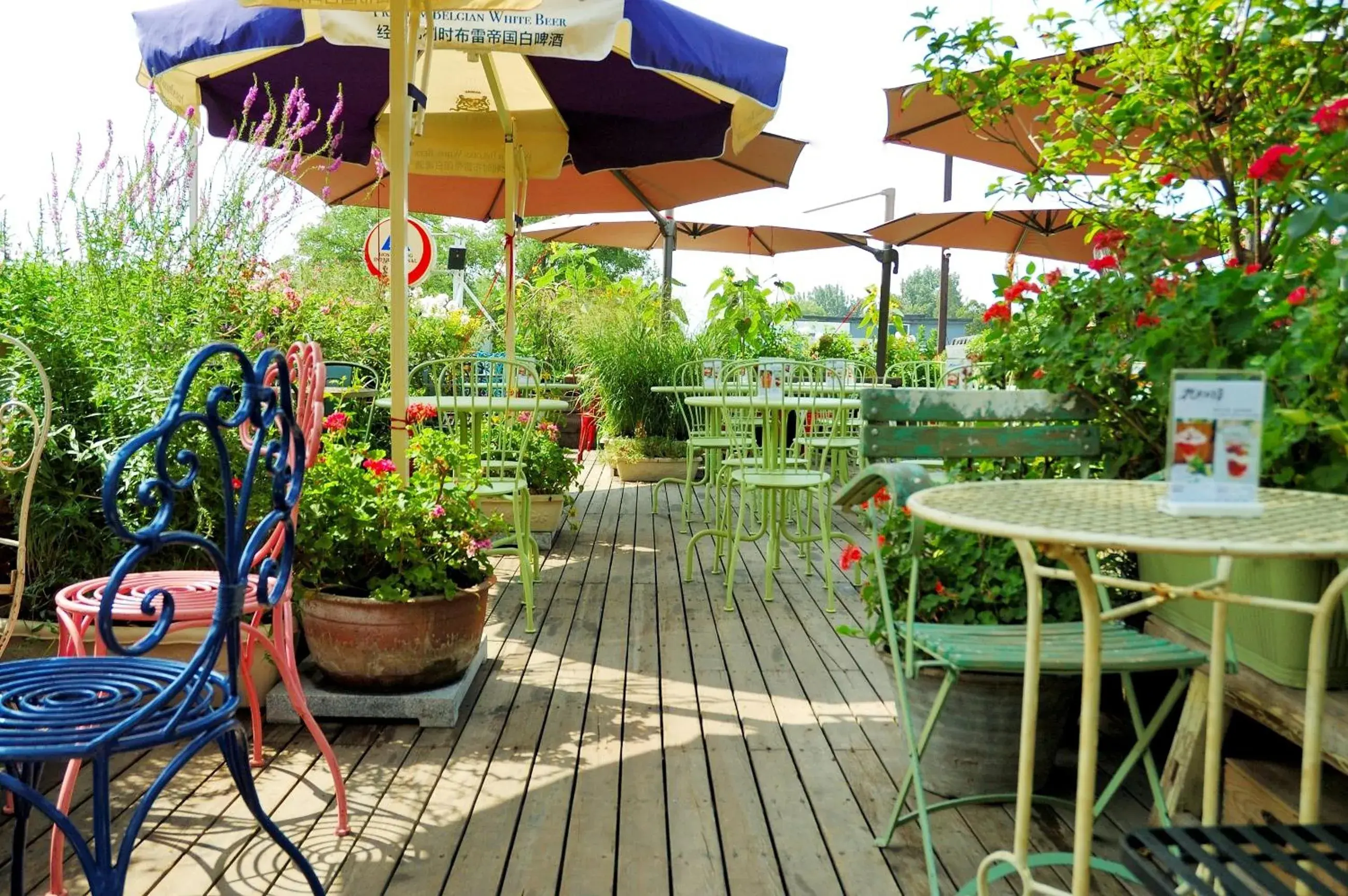 Balcony/Terrace in Peking International Youth Hostel