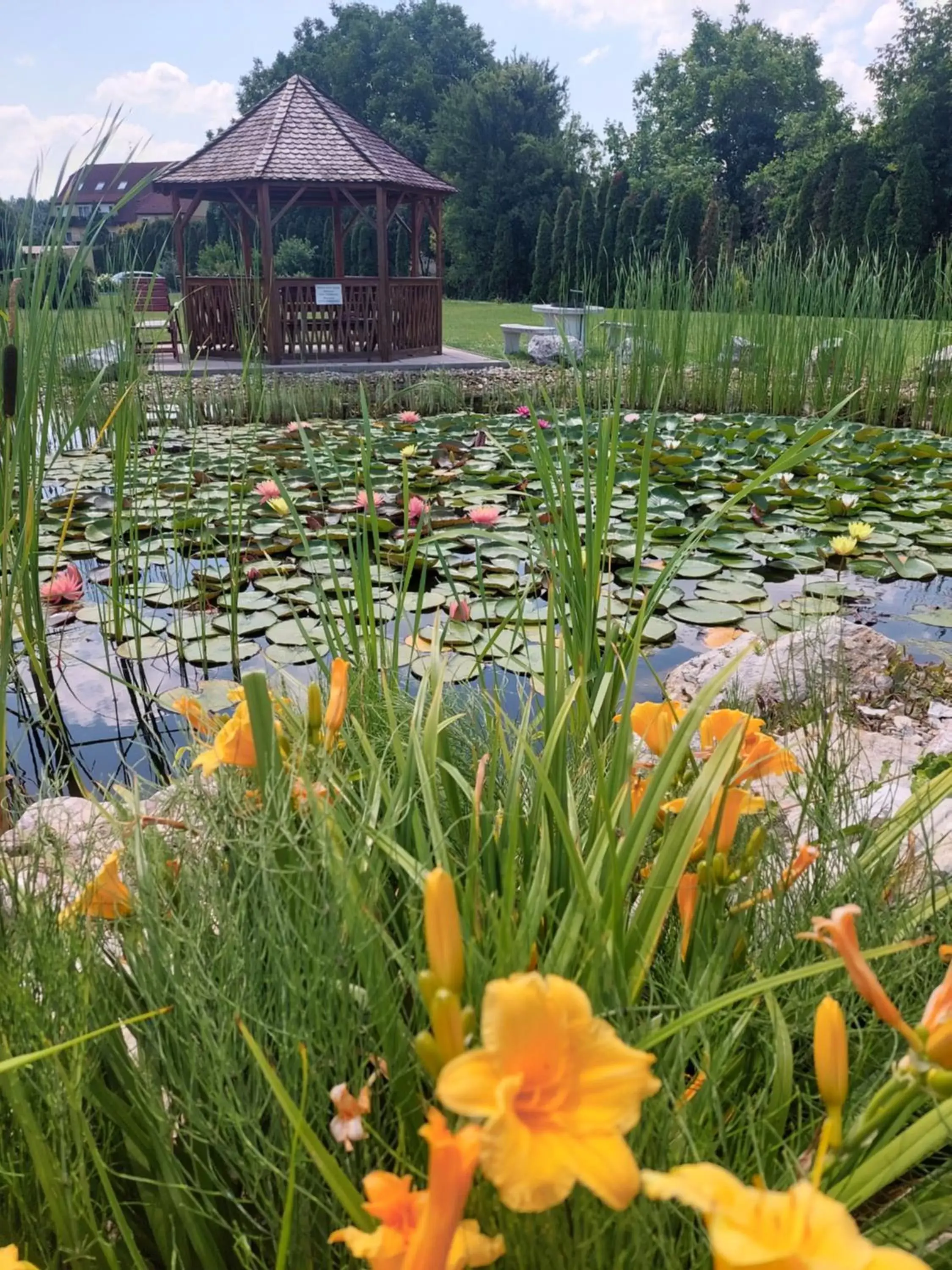 Superior Apartment in Hotel Panorama Superior Apartment in Hotel Panorama