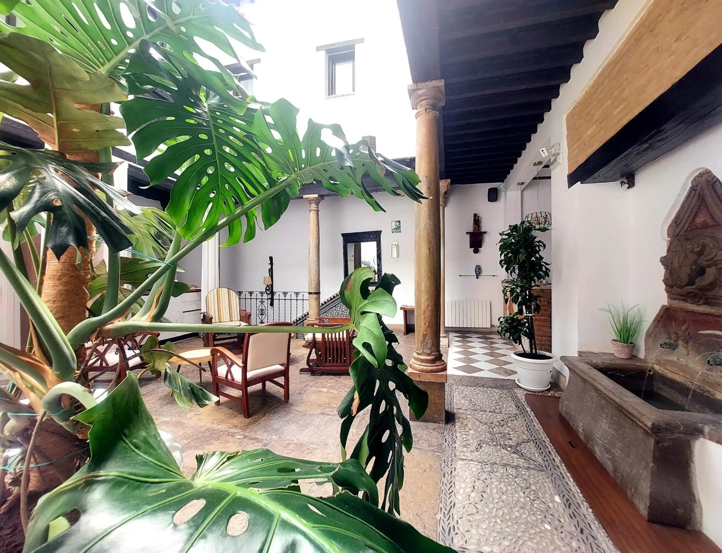 Patio in Hotel Rosa De oro