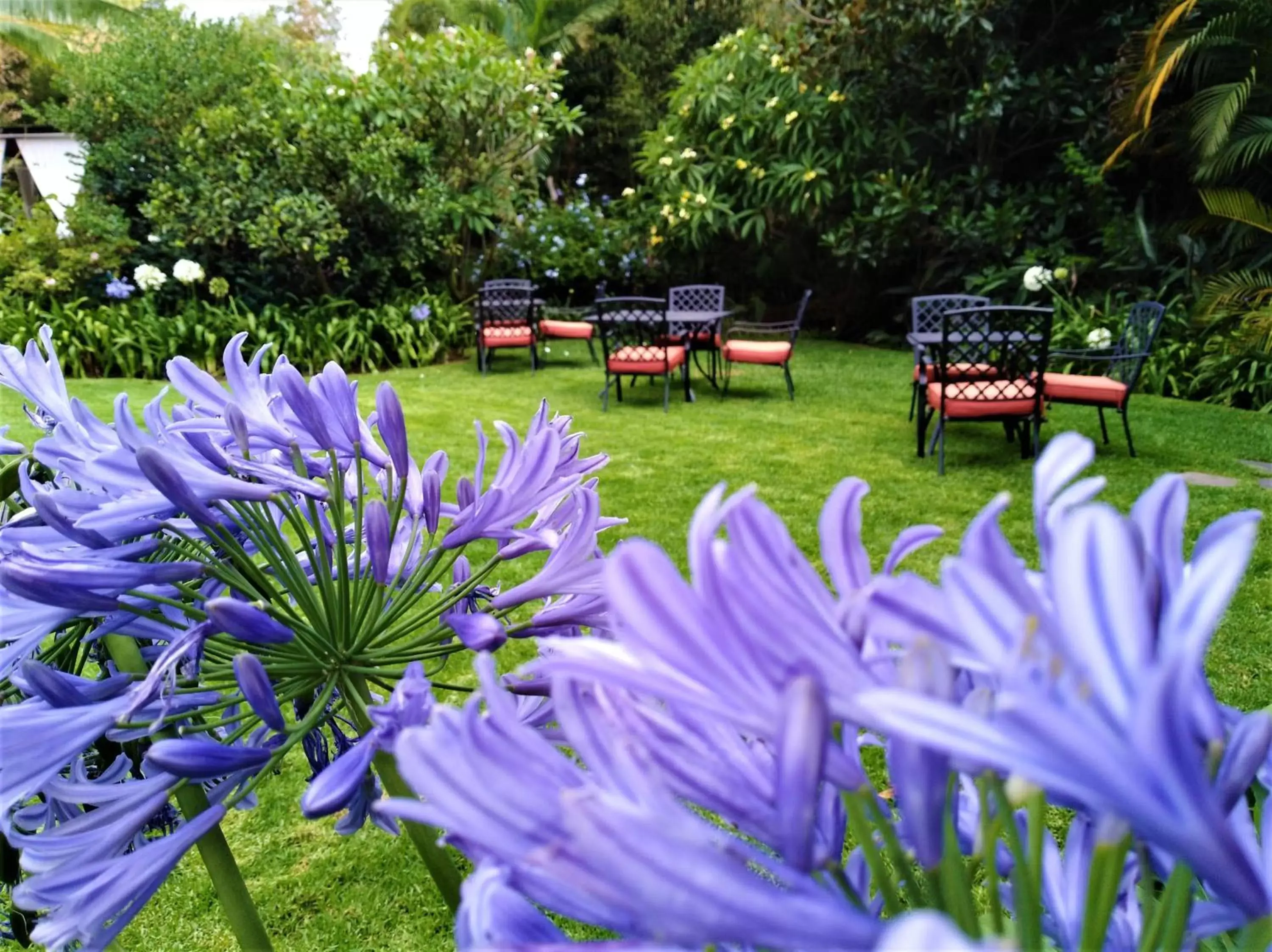 Garden in Areté