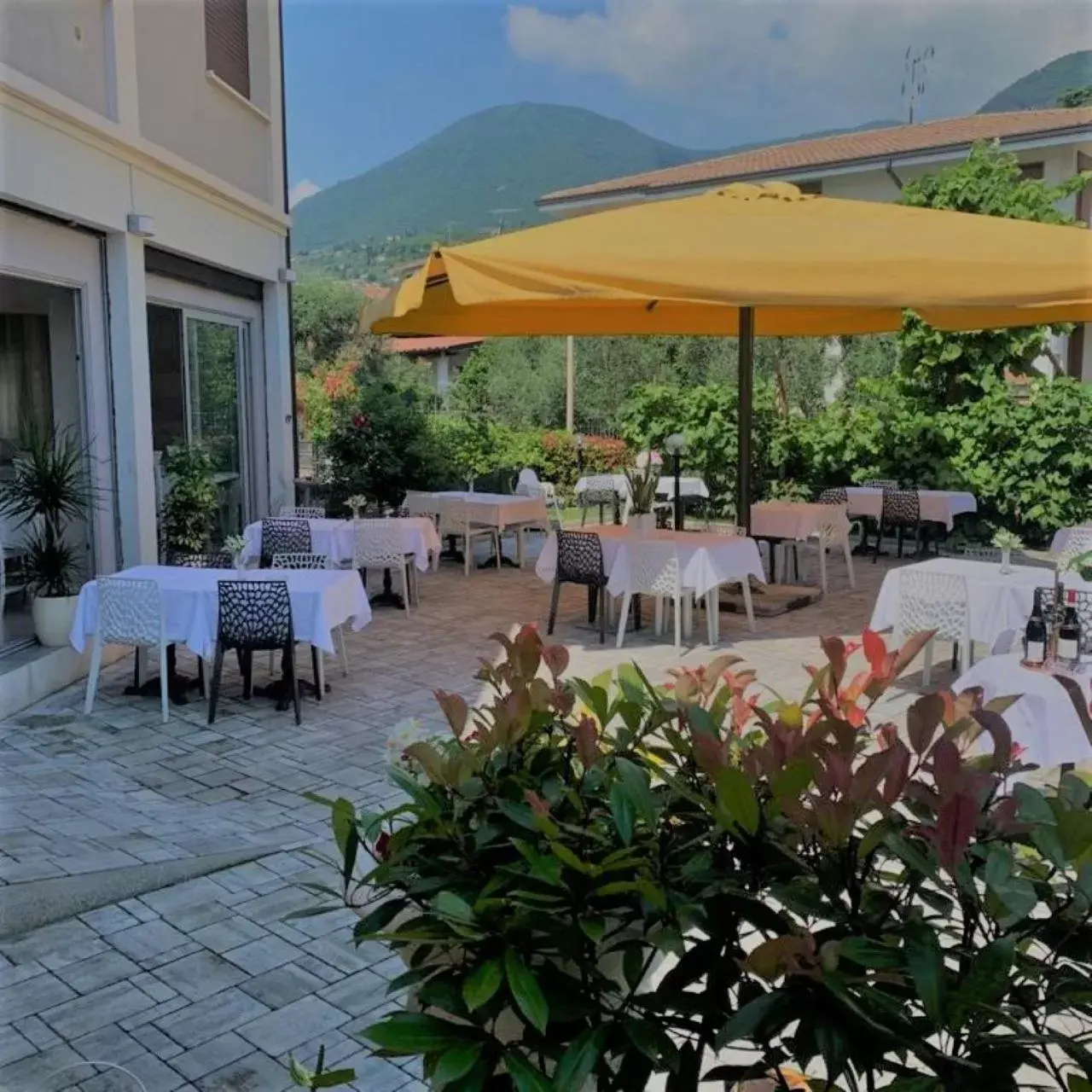 Patio, Restaurant/Places to Eat in HOTEL LORENA