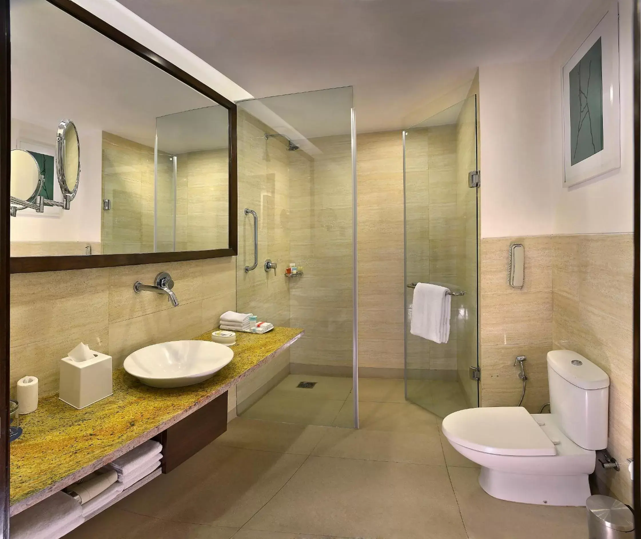 Toilet, Bathroom in Four Points by Sheraton New Delhi, Airport Highway