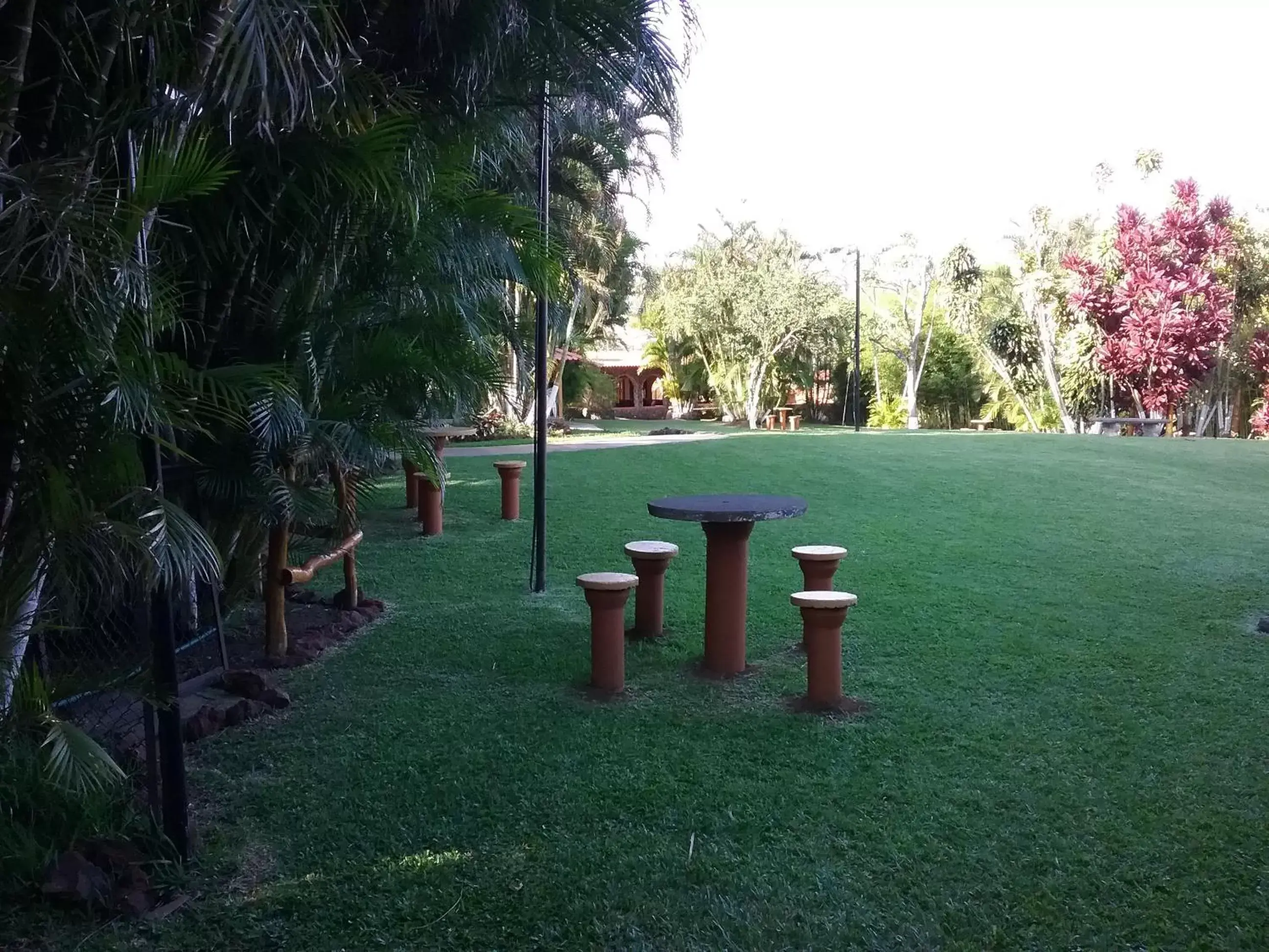 Garden in Hotel Cibeles Resort