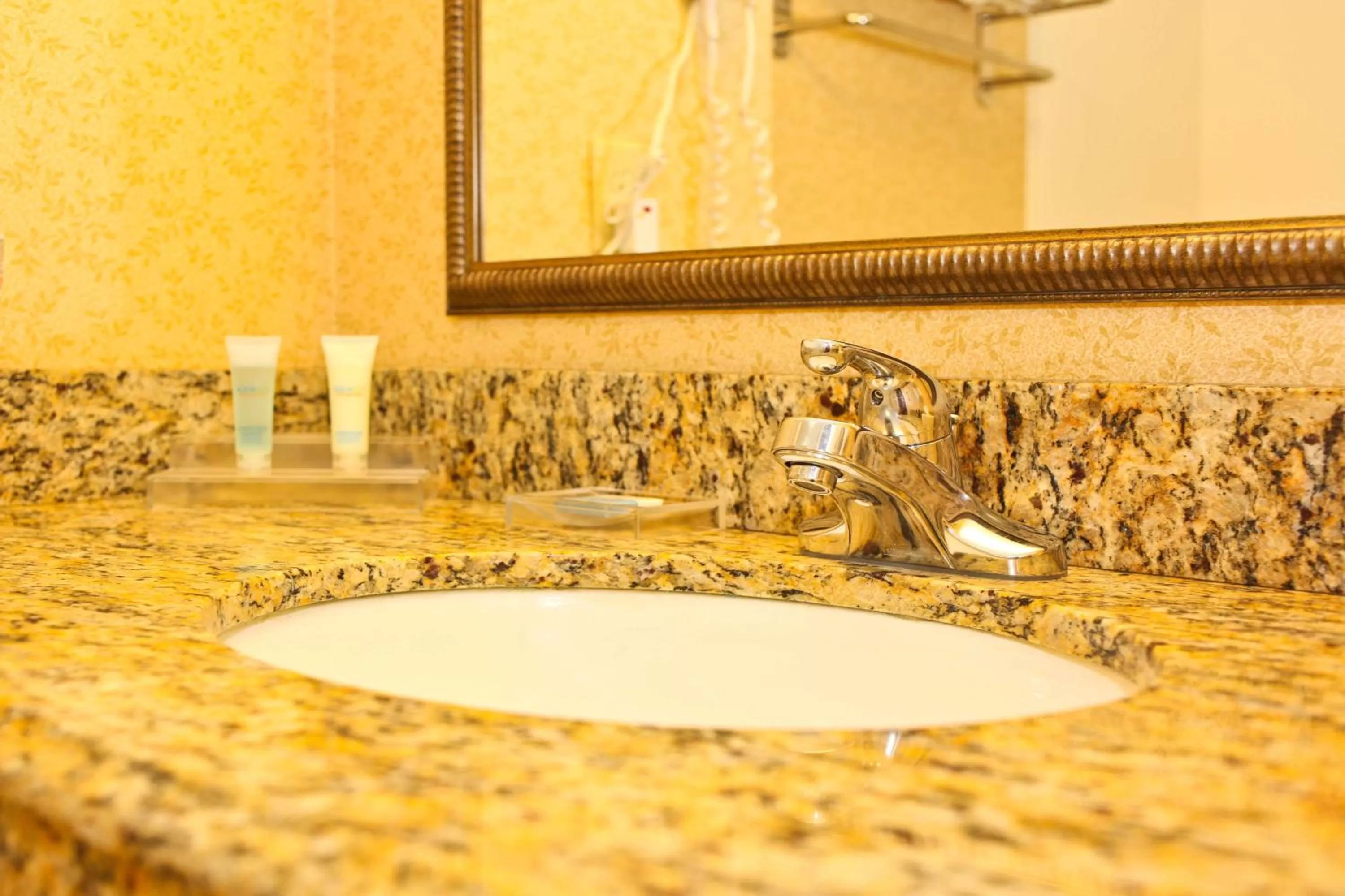 King Suite with Sofa Bed  - Non-Smoking in Best Western Executive Inn & Suites