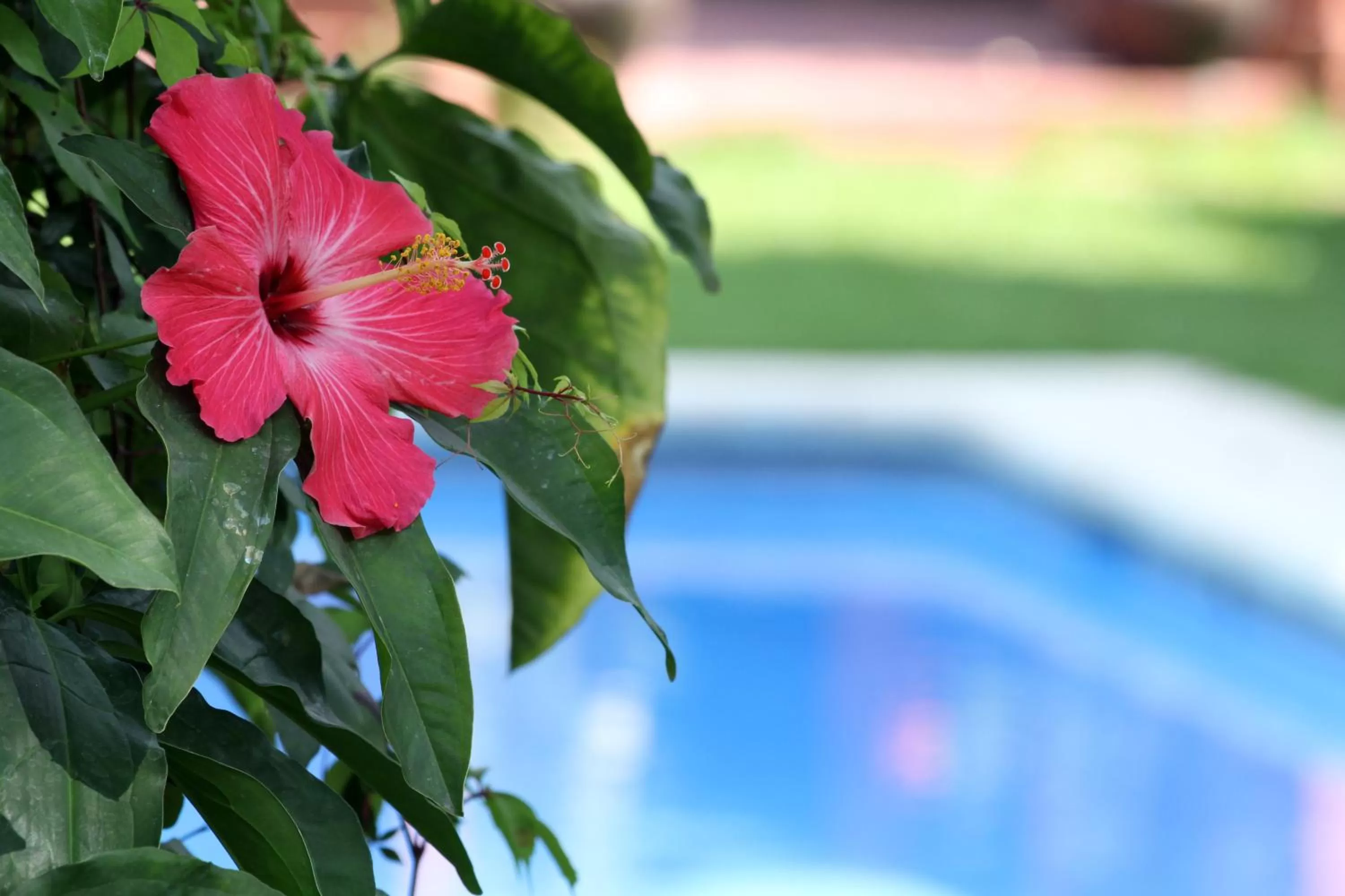 Other in Hotel La Villa Real