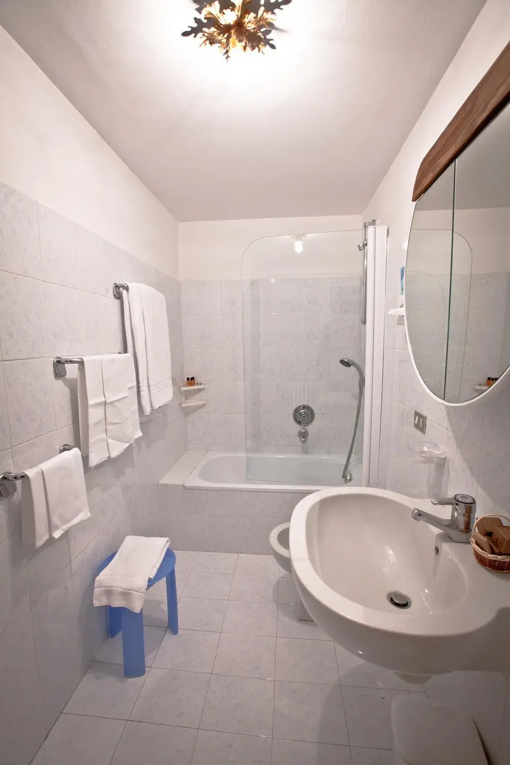 Bathroom in Hotel Courmayeur