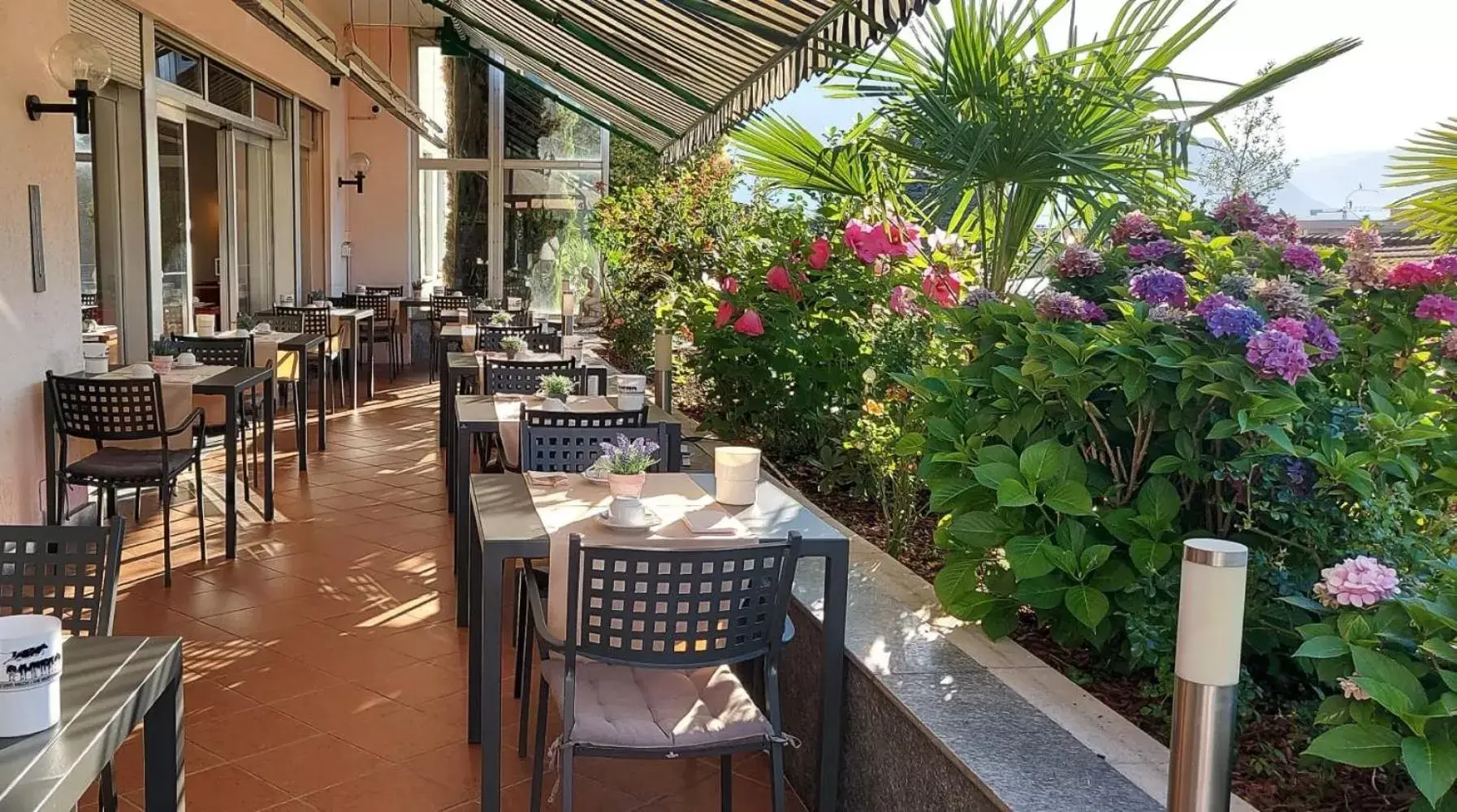 Restaurant/Places to Eat in Hotel La Perla