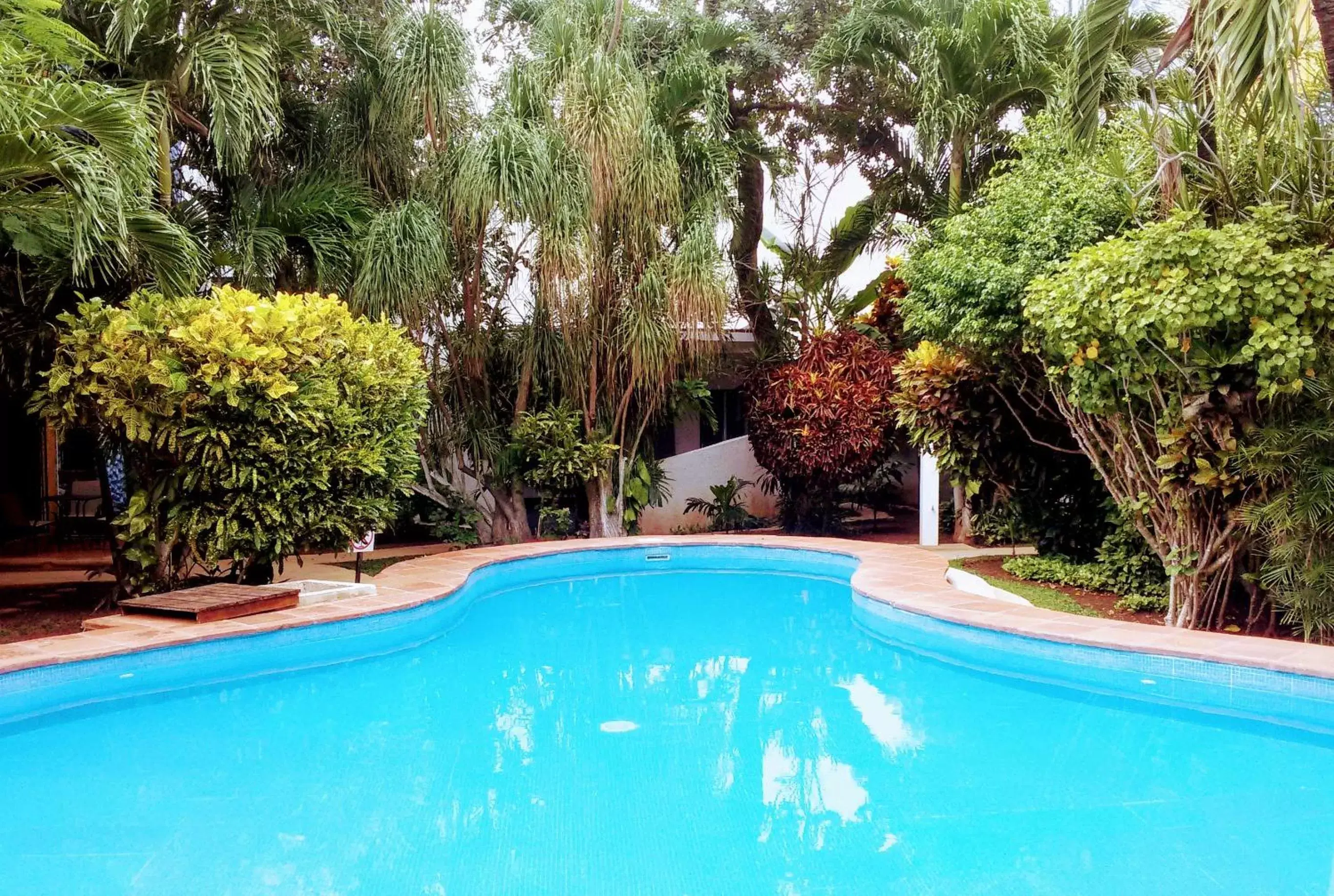 Staff, Swimming Pool in Maya Vacanze Playa Alegria