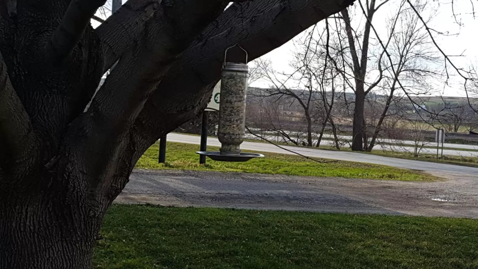 Area and facilities in Denison Inn & Suites