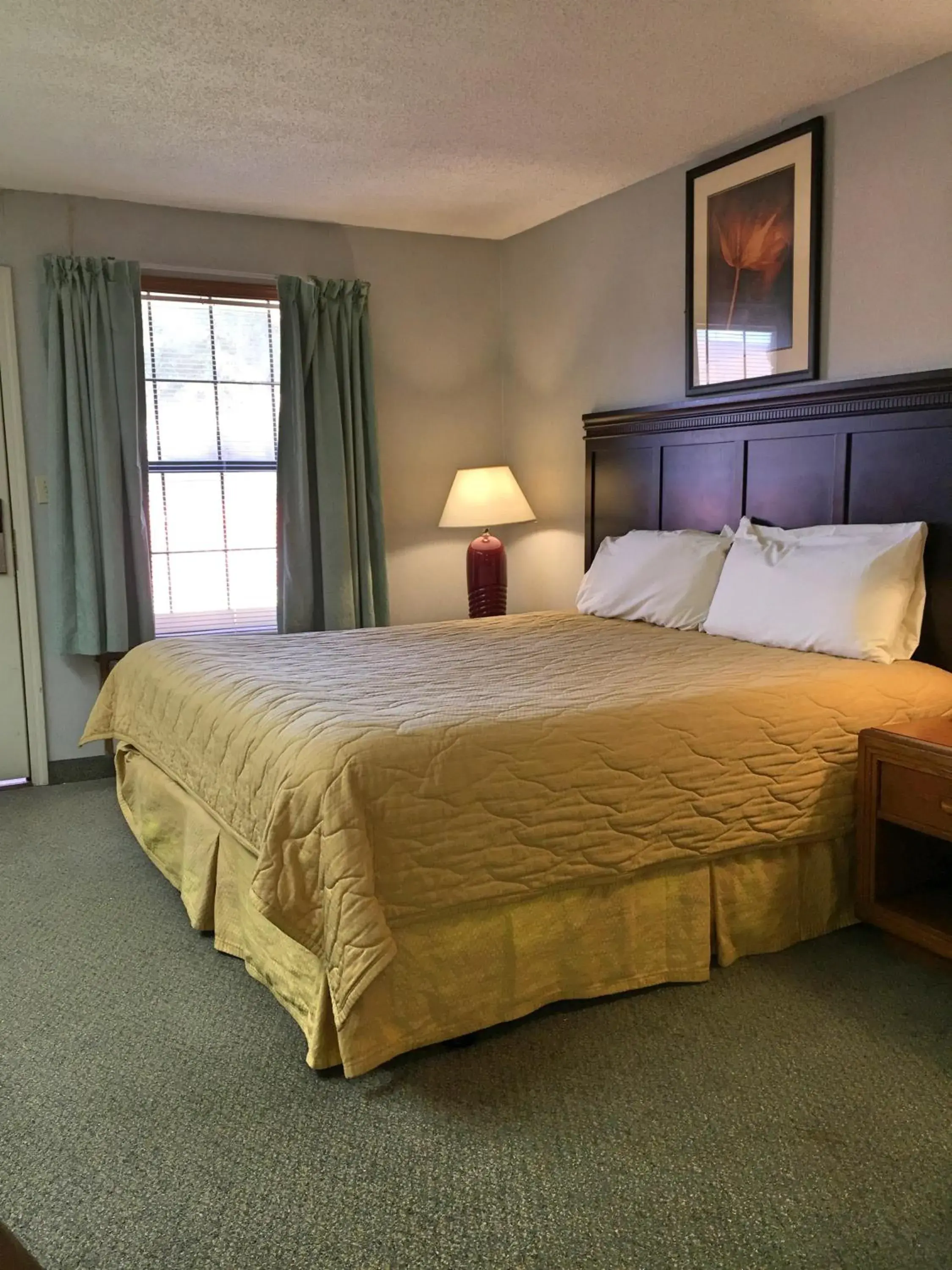 Photo of the whole room, Bed in HOTEL DEL SOL - Pensacola