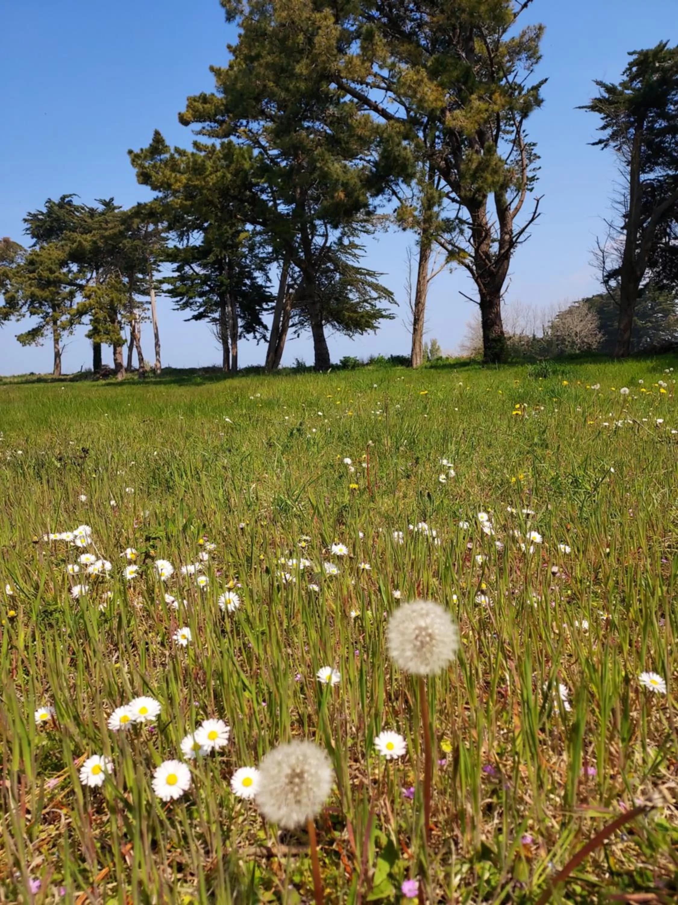 Maison Triton et Porcelaine