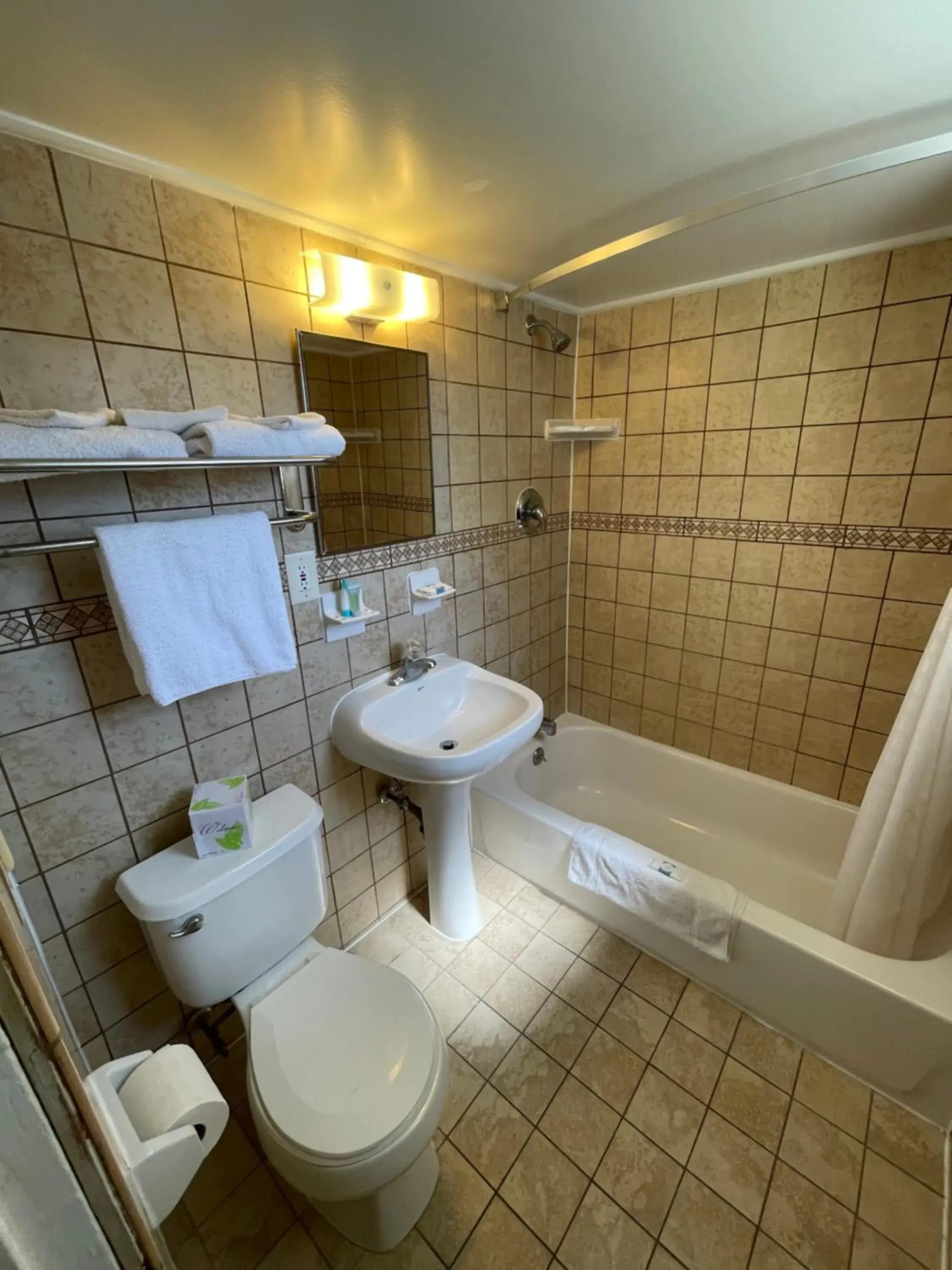 Bathroom in Tropicana Motel