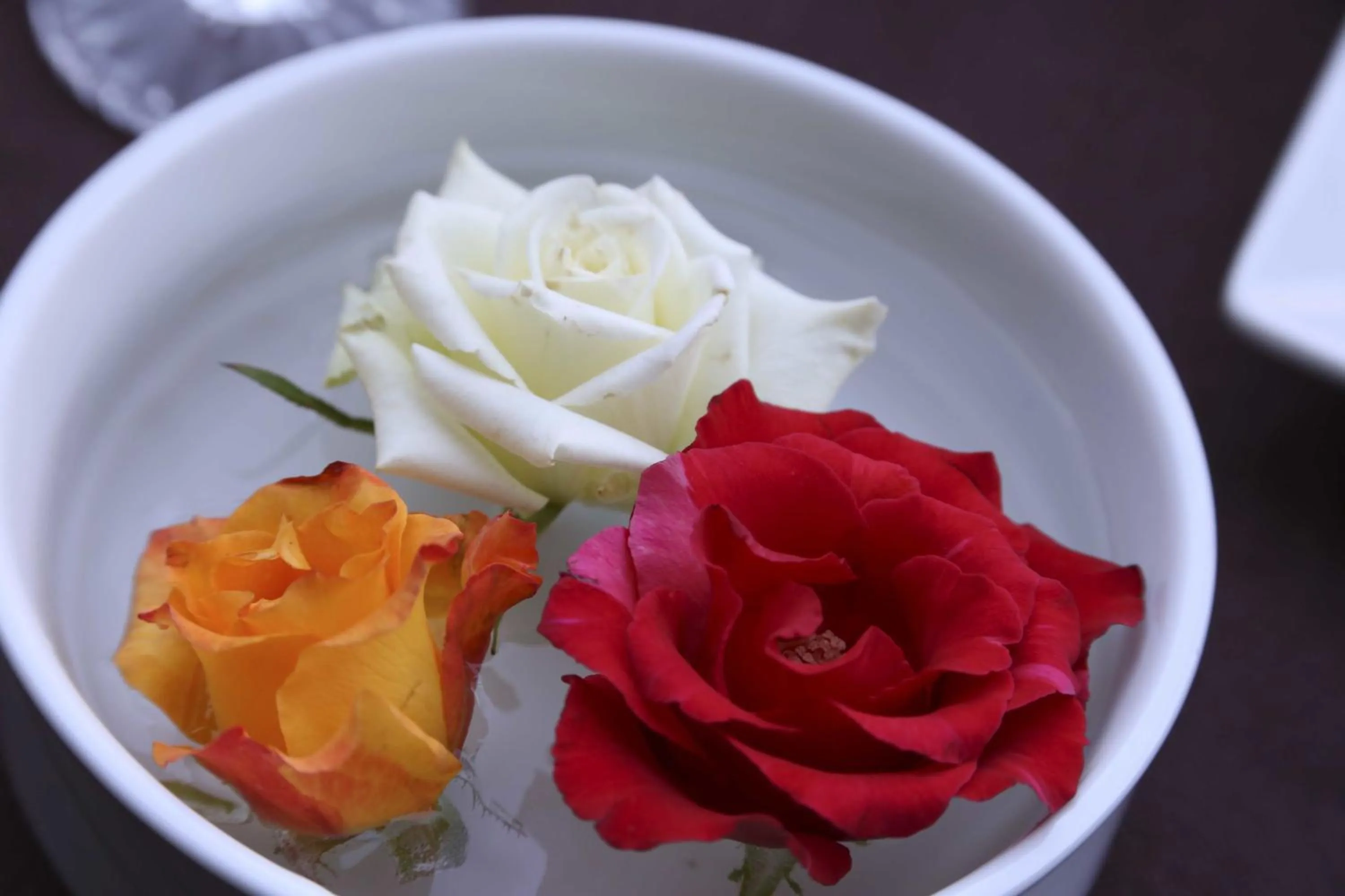 Balcony/Terrace in Riad Mille Et Une Nuits