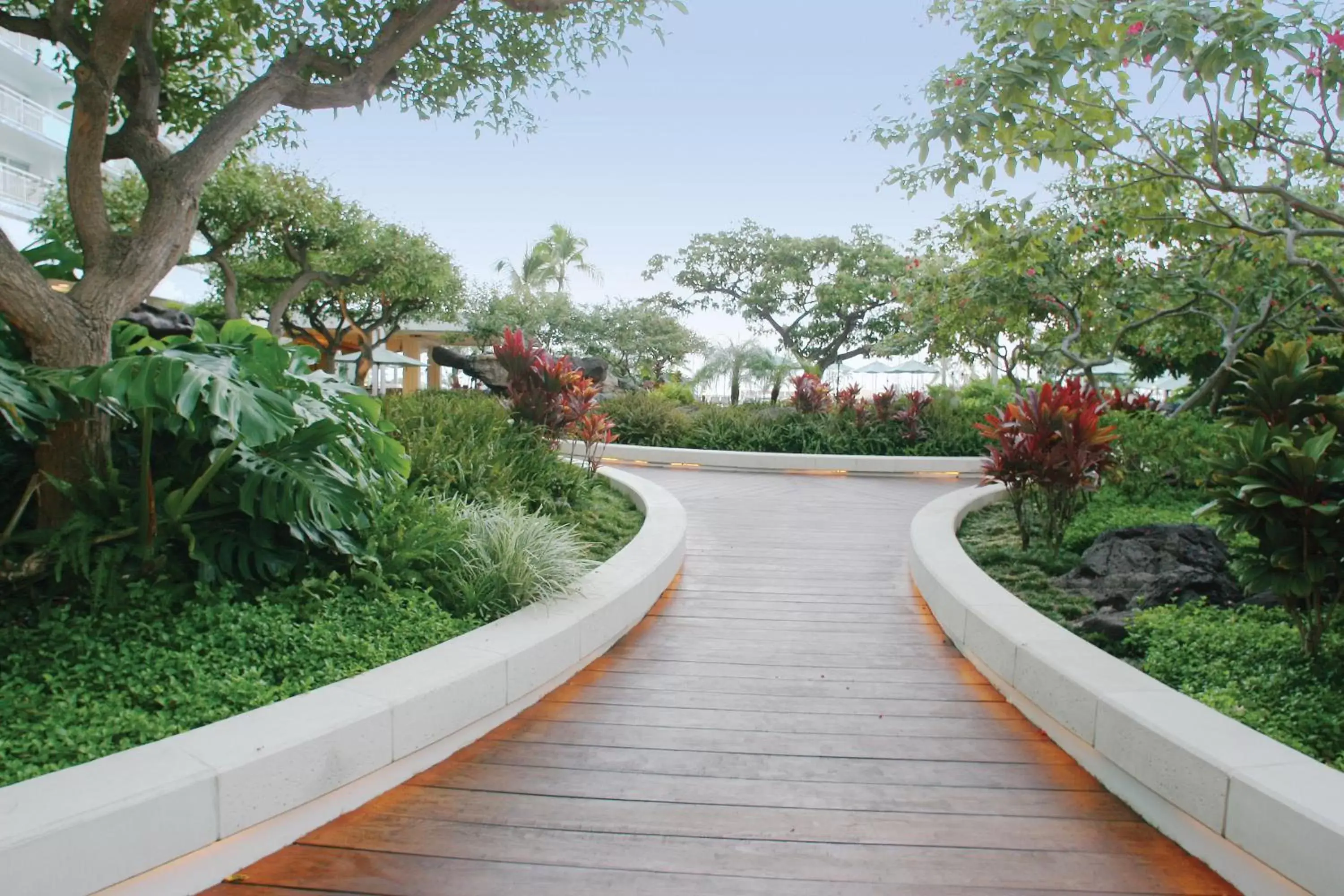 Garden in Waikiki Marina Resort at the Ilikai