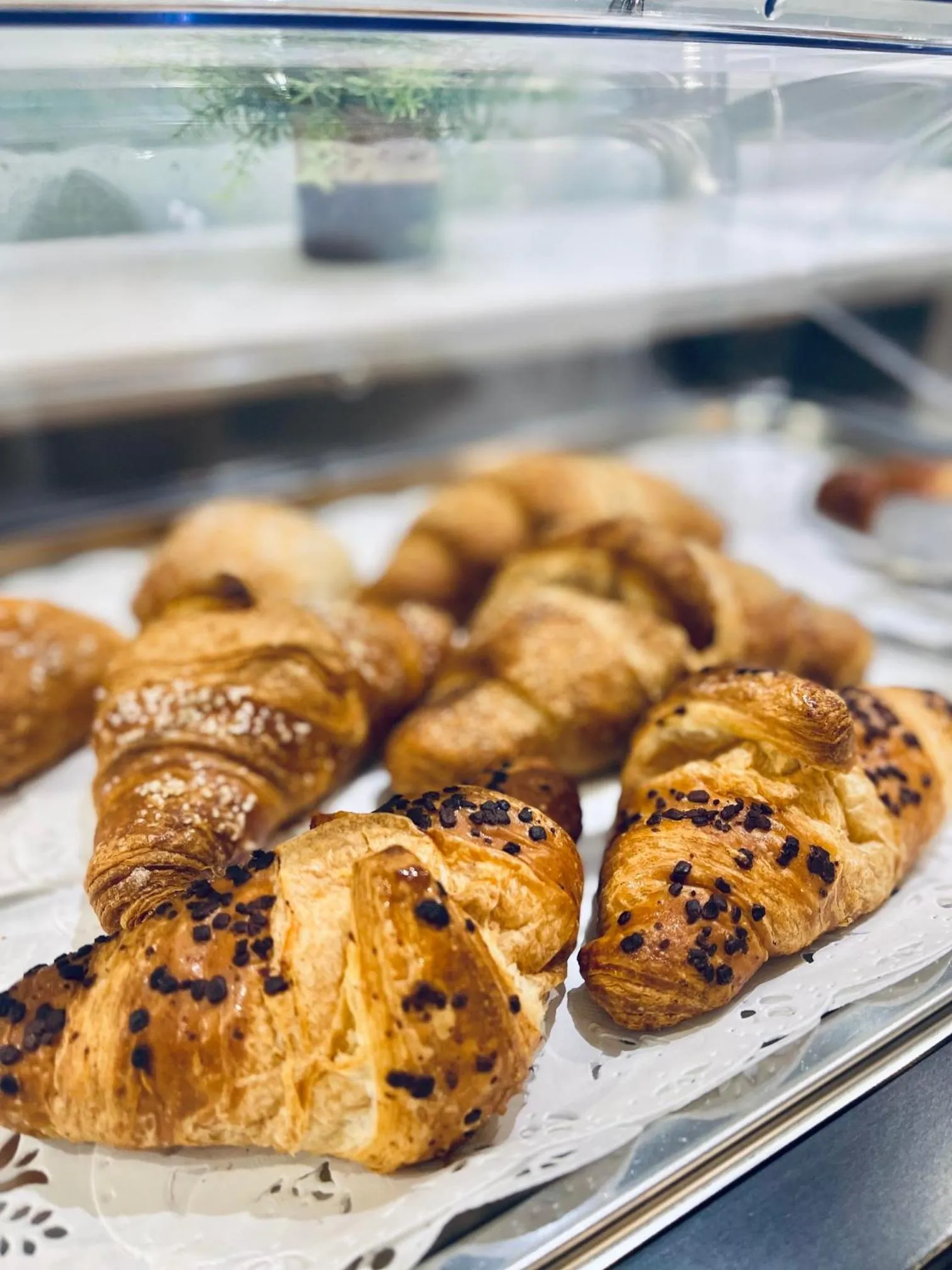 Continental breakfast in Best Quality Hotel Dock Milano