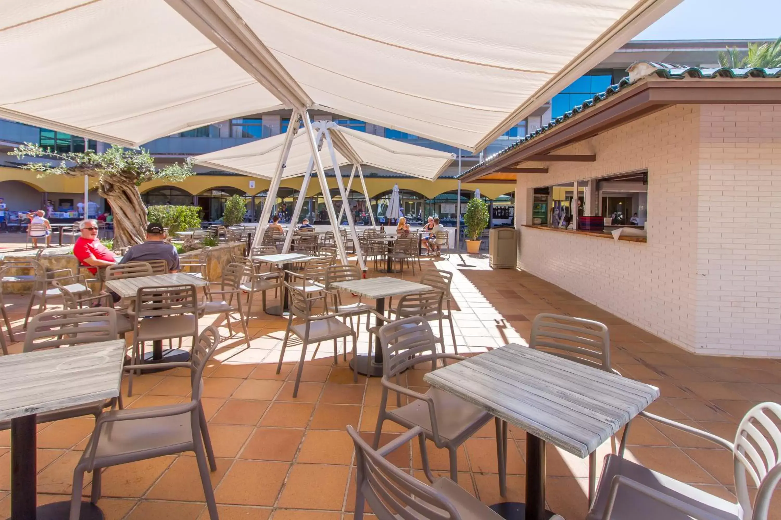 Lounge or bar, Restaurant/Places to Eat in Hotel Mediterraneo