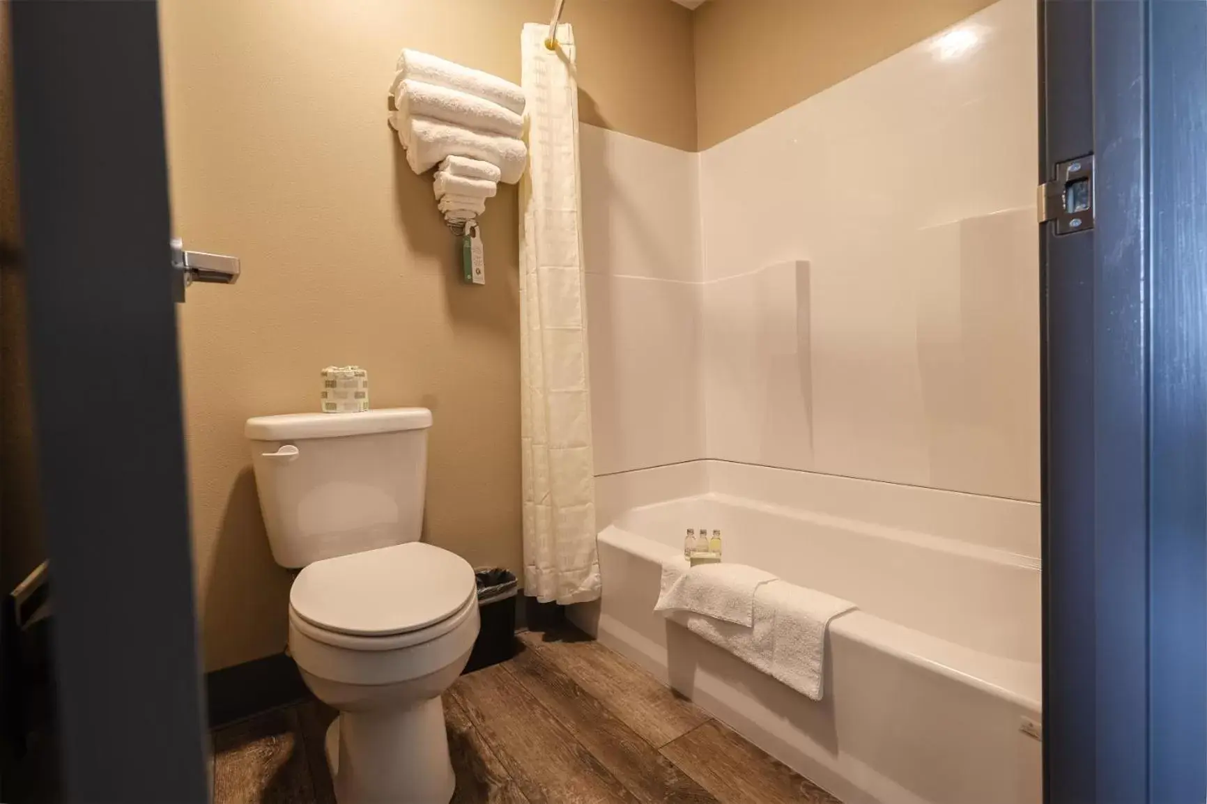 Shower, Bathroom in Cobblestone Inn & Suites - Trenton