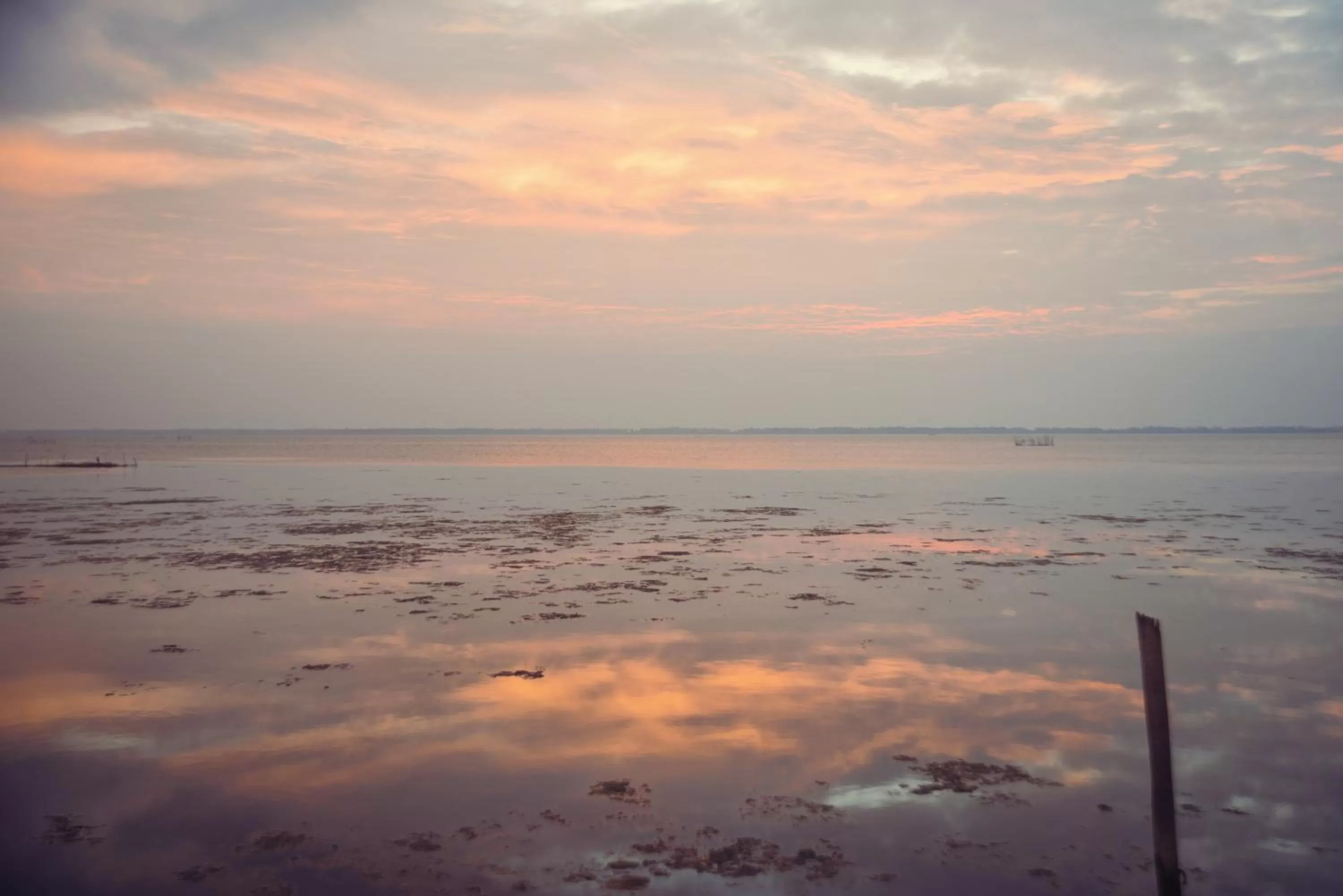 Other in Hush Lagoon 30