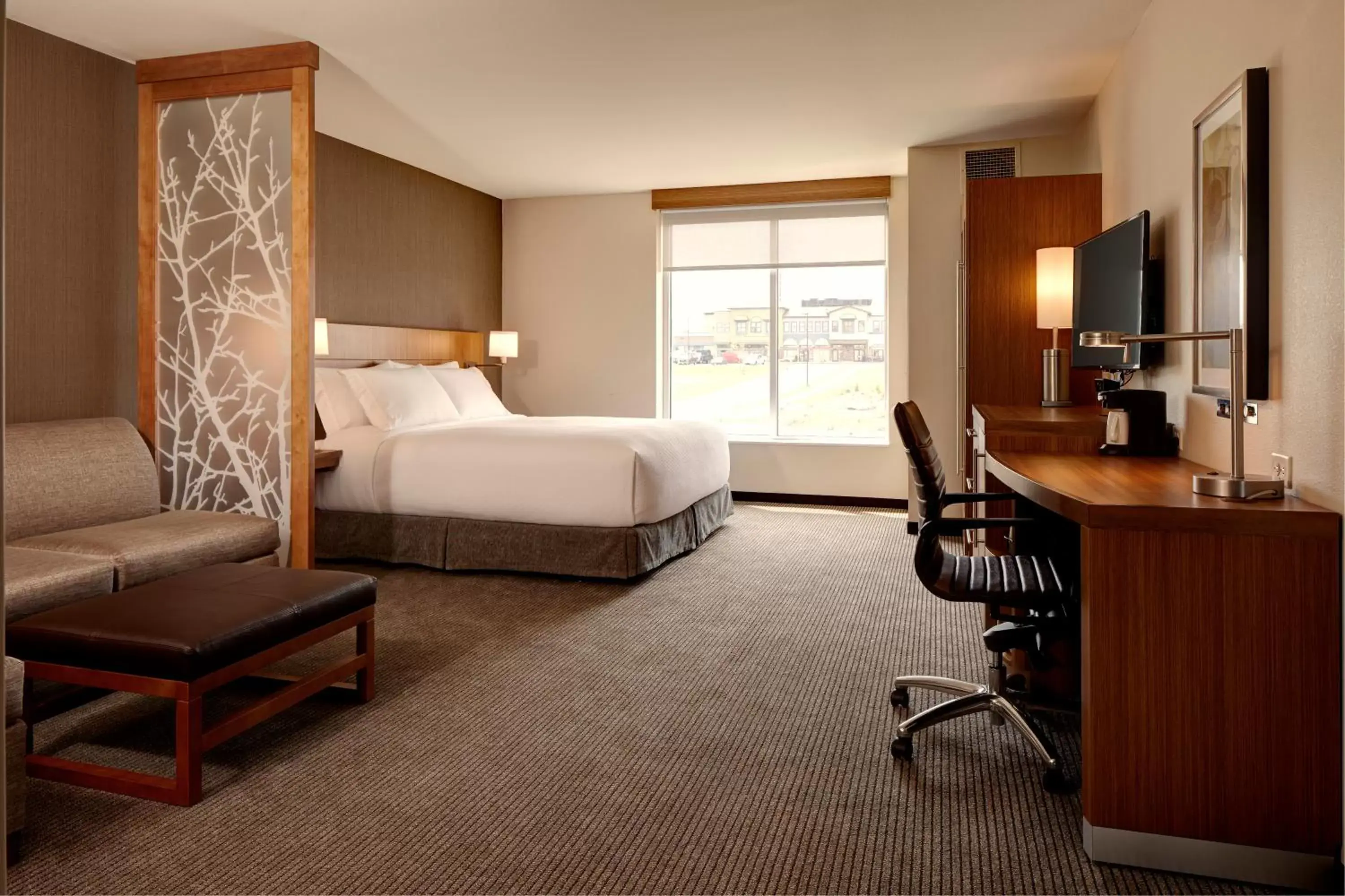 King Room with Sofa Bed and Roll-In Shower - Disability Access in Hyatt Place Madison/Verona