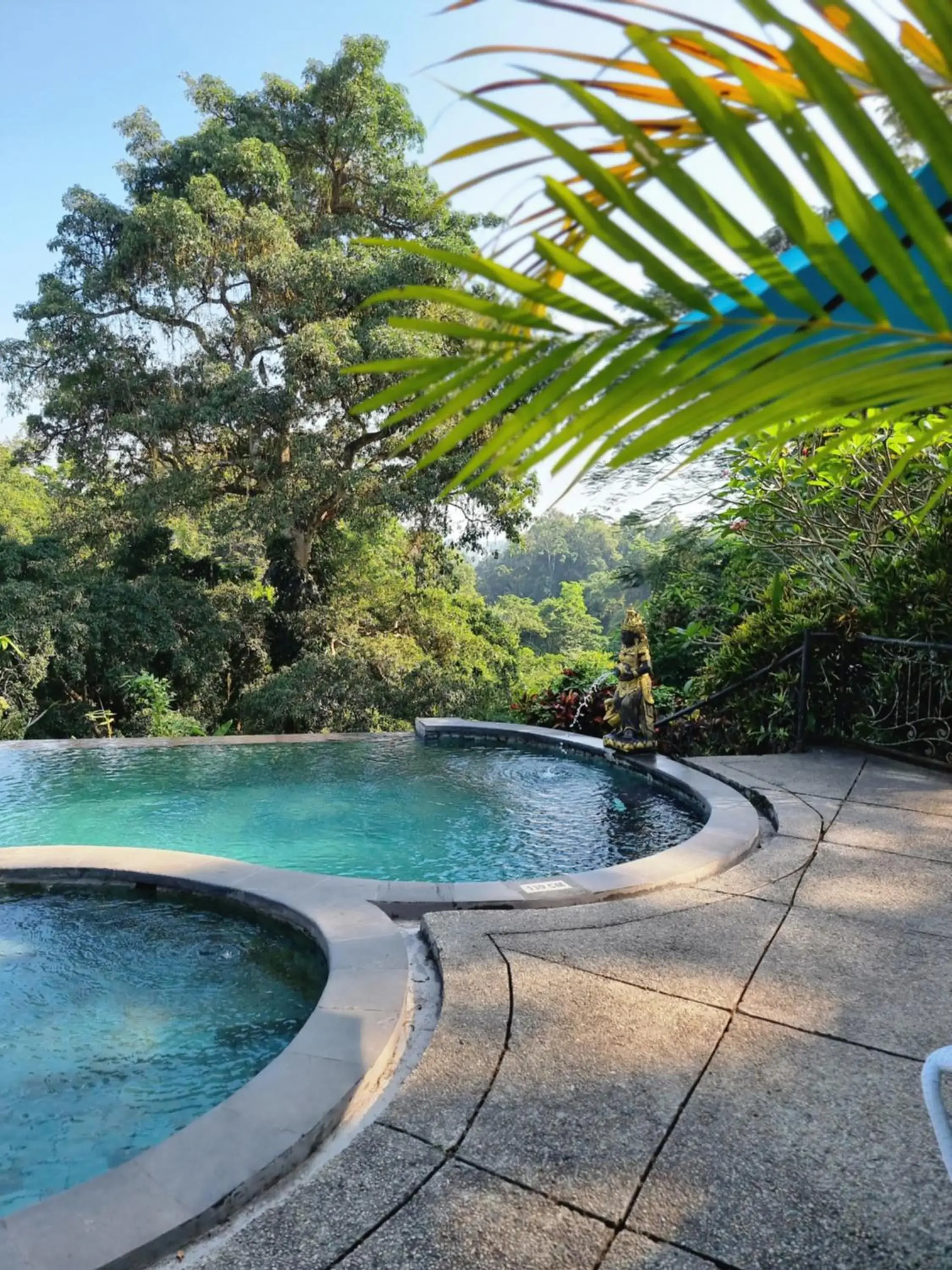 Swimming Pool in Ubud Dedari Villas