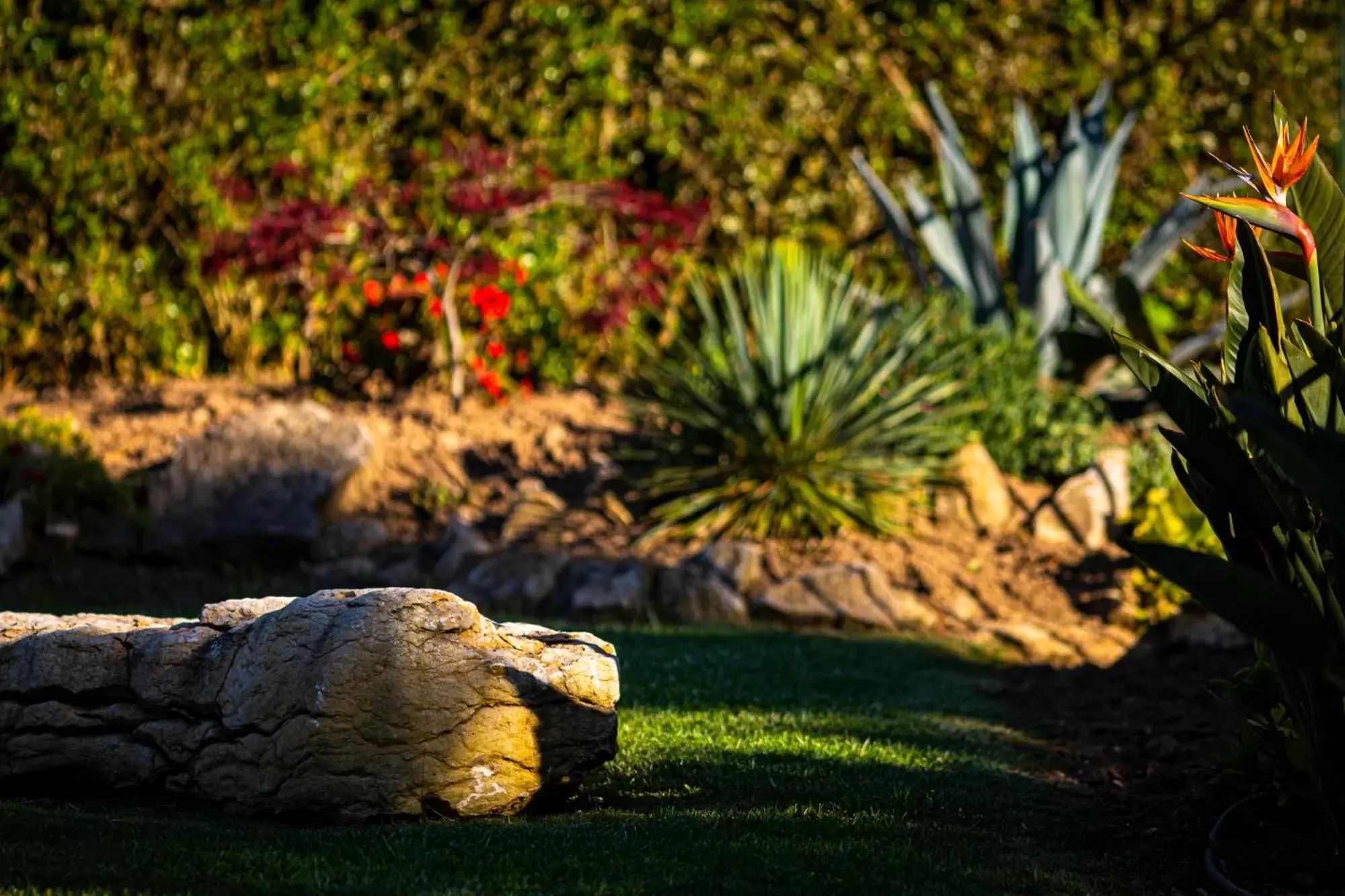 Garden in Quinta do Pé Descalço Guesthouse Sintra