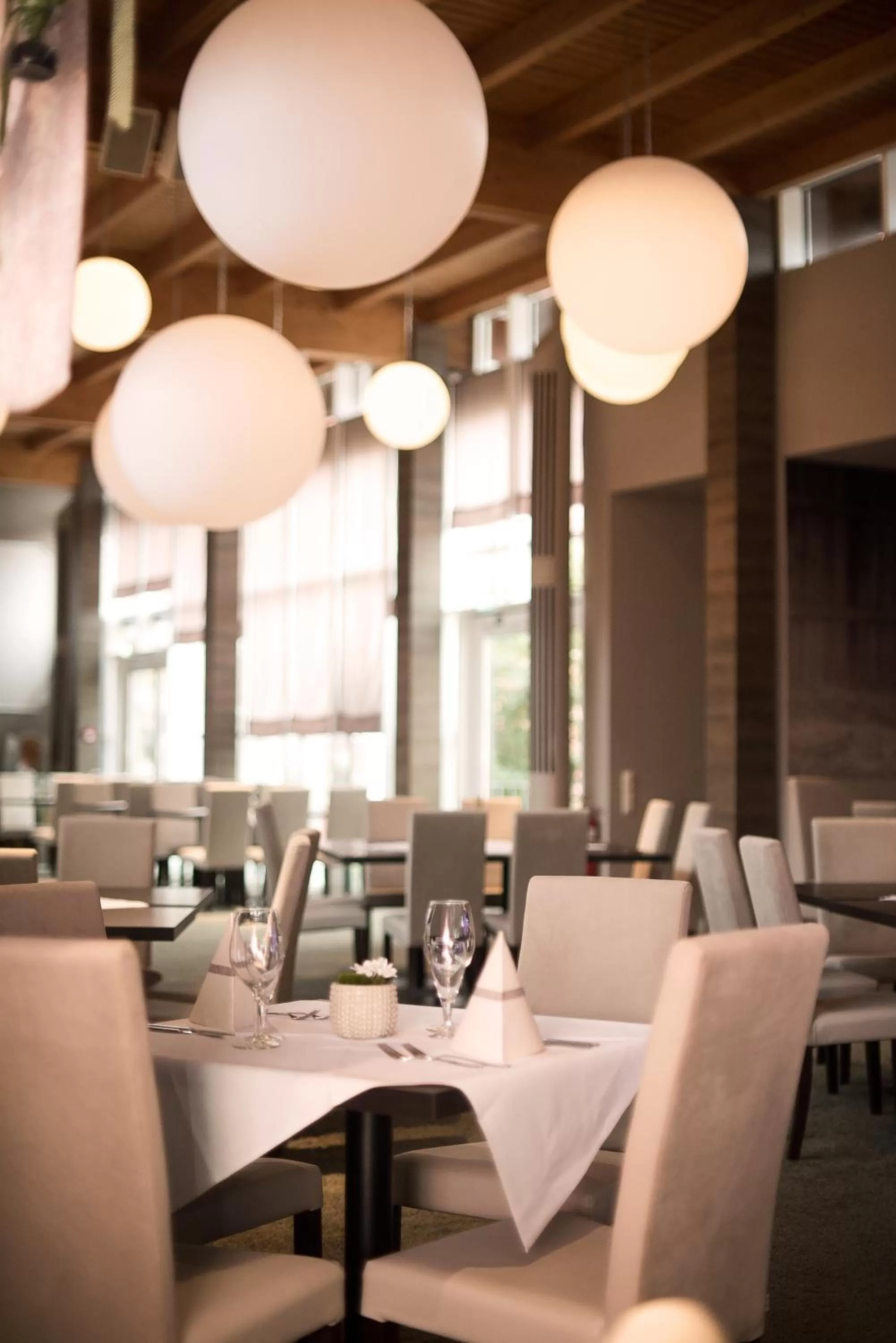 Food and drinks in Landhotel Bad Dürrenberg