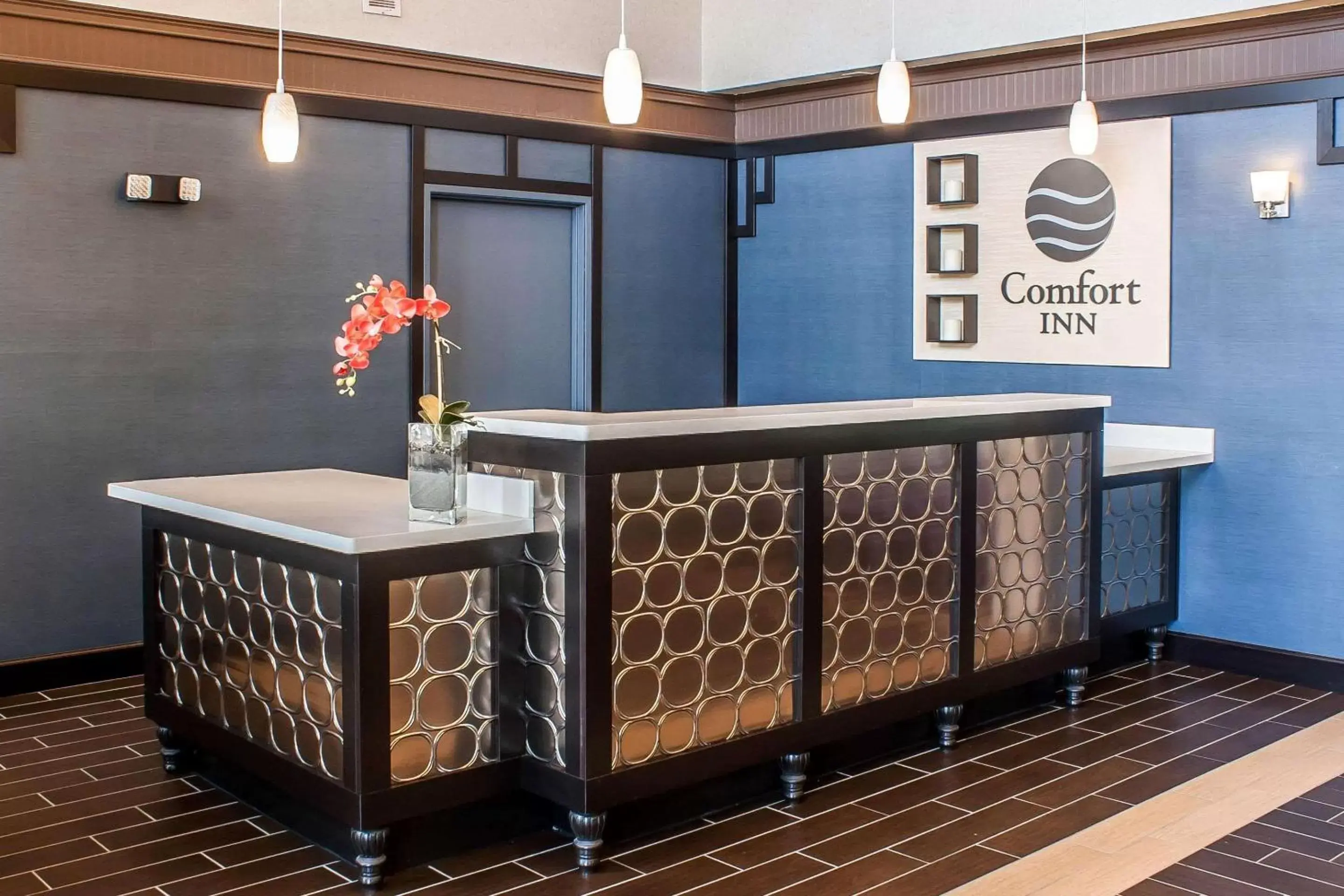 Lobby or reception in Comfort Inn Federal Way - Seattle