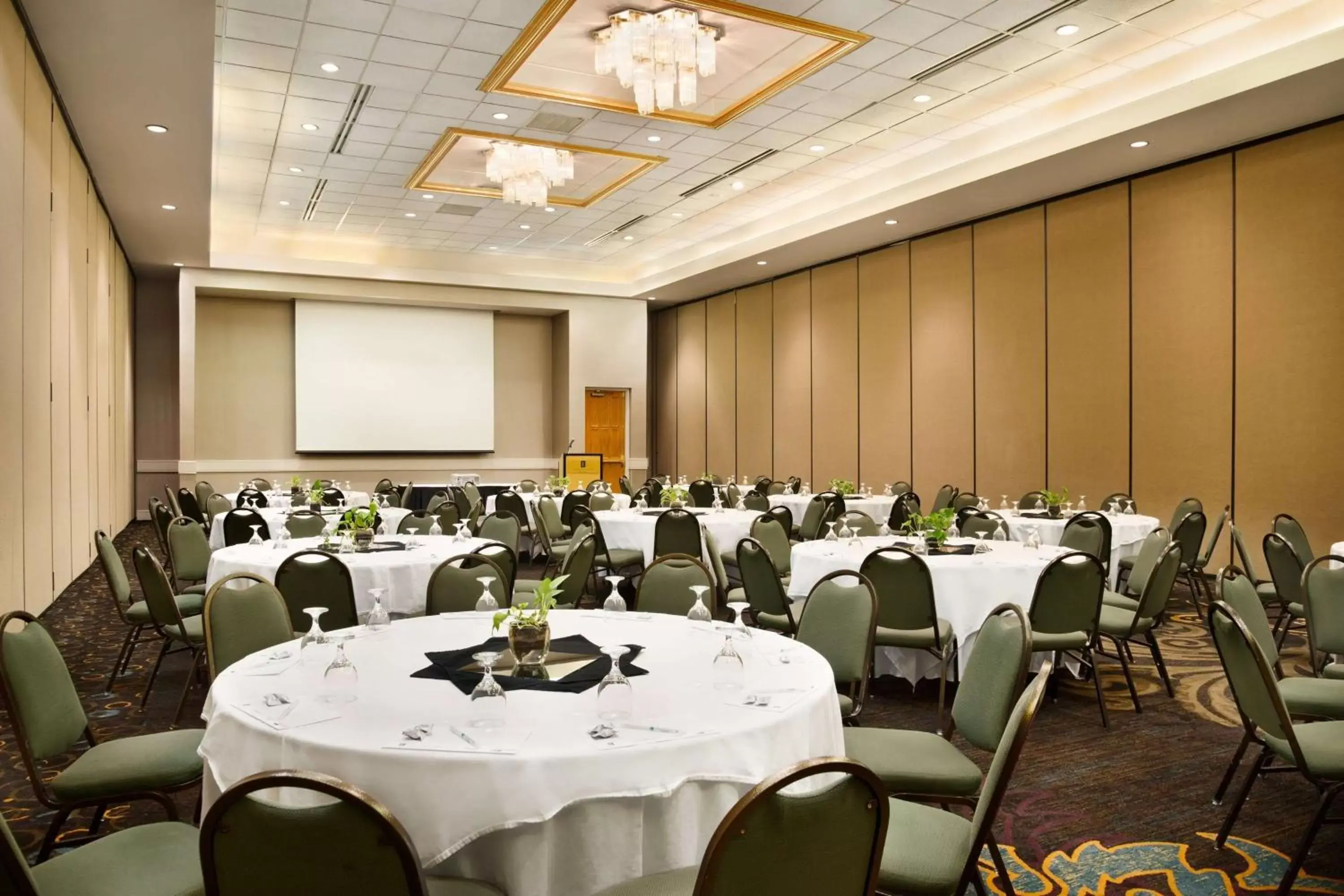 Meeting/conference room, Banquet Facilities in Embassy Suites by Hilton Greensboro Airport