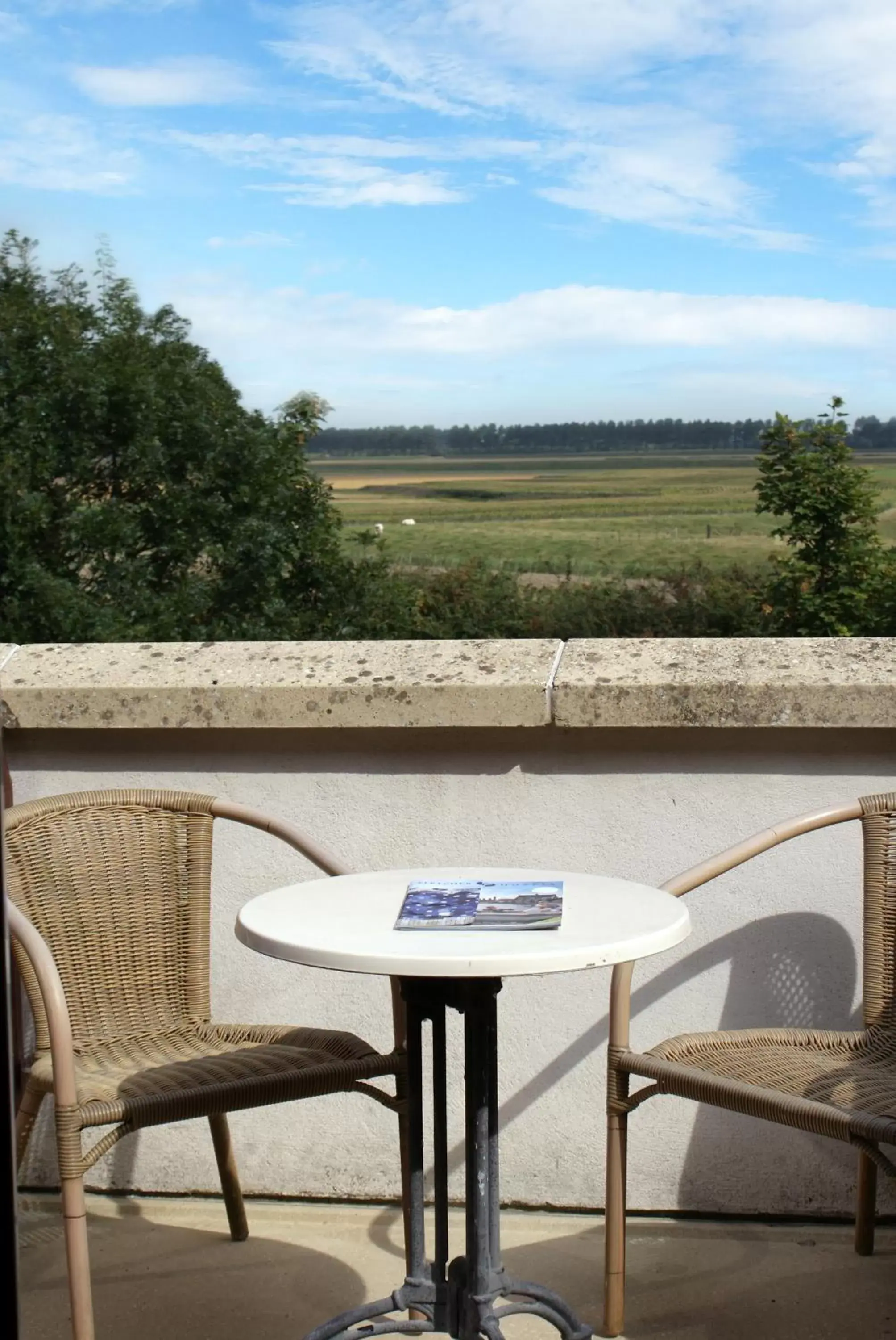 View (from property/room), Balcony/Terrace in Fletcher Hotel-Restaurant de Dikke van Dale