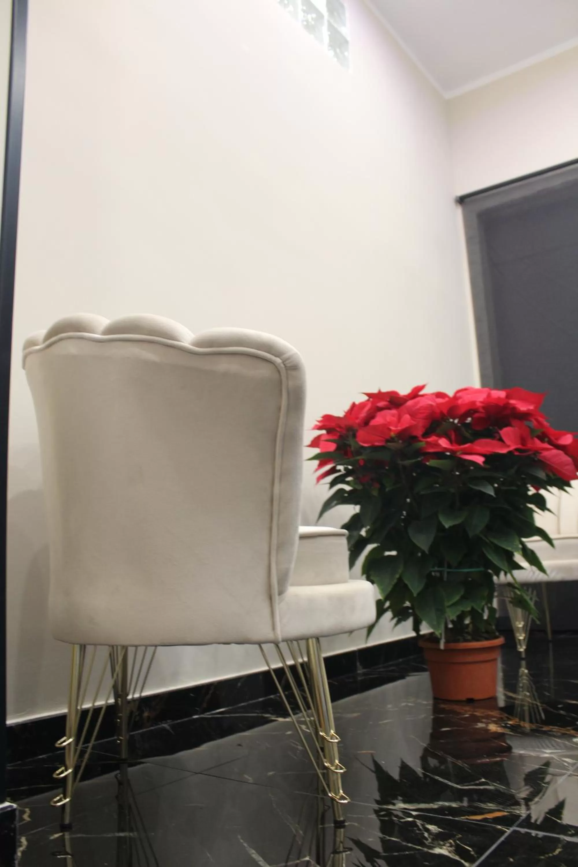 Seating Area in My Luxury