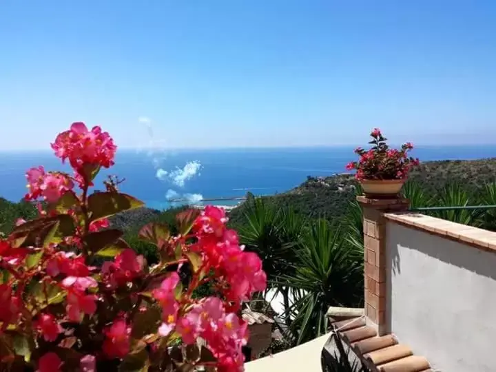 Balcony/Terrace in B&B Le Anthos