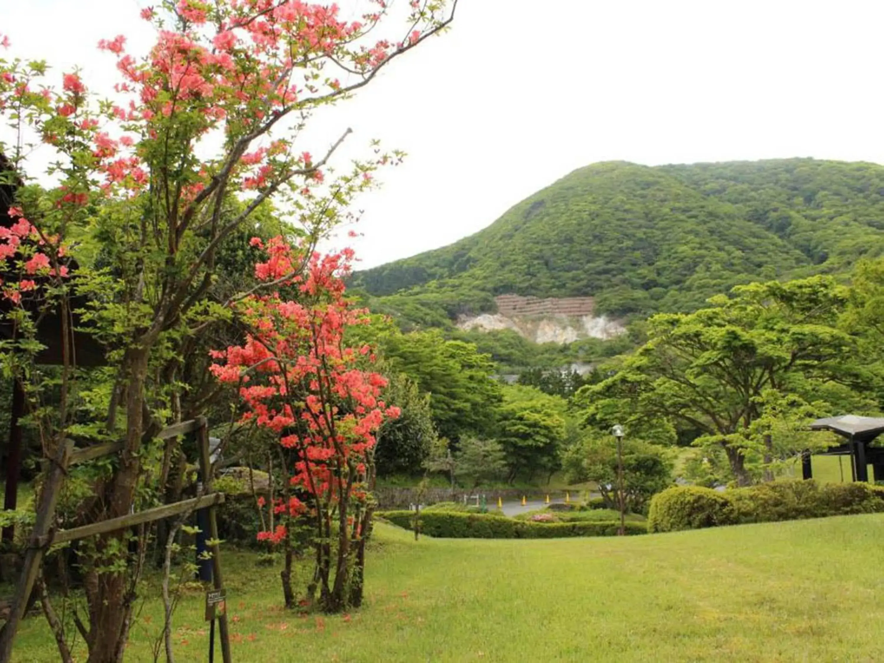 Natural landscape in Hakone Yunohana Prince Hotel