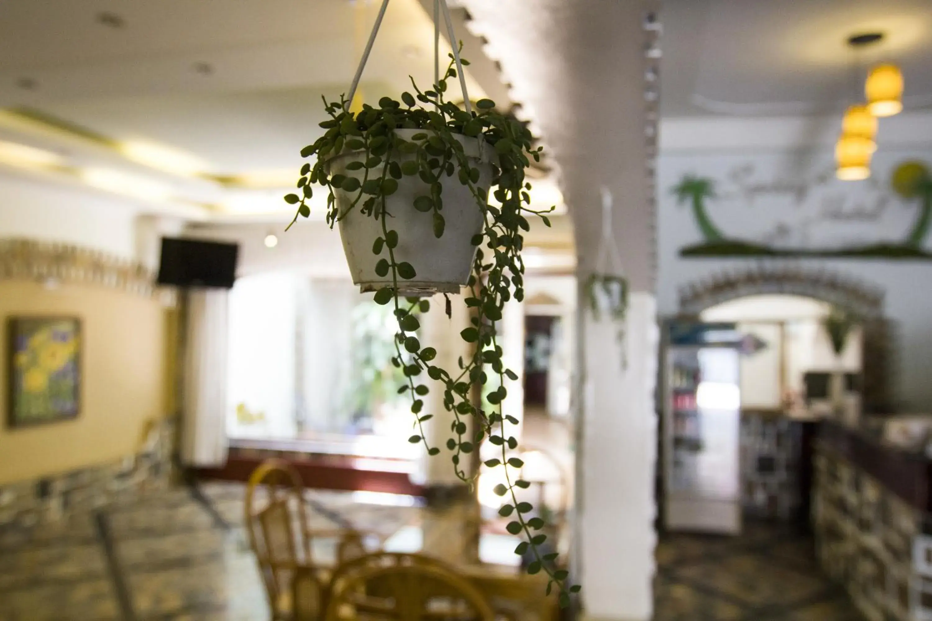 Lobby or reception, Restaurant/Places to Eat in Spring Hotel