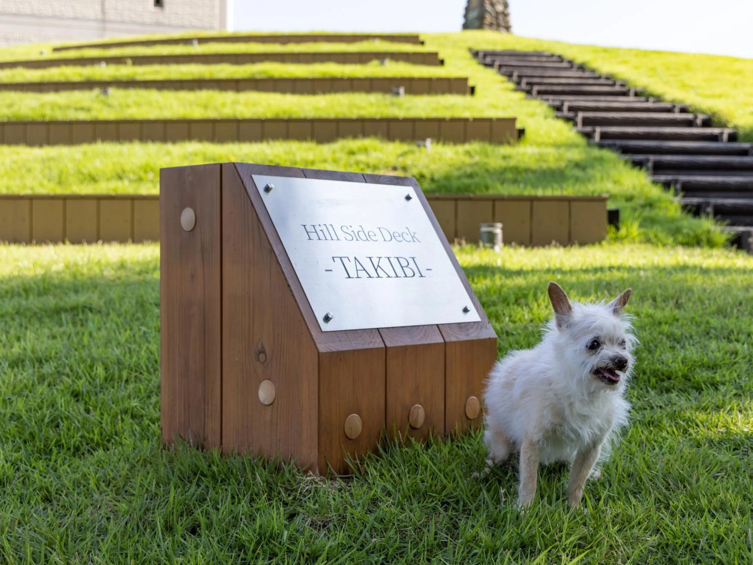 Animals in APA Hotel & Resort Joetsu Myoko
