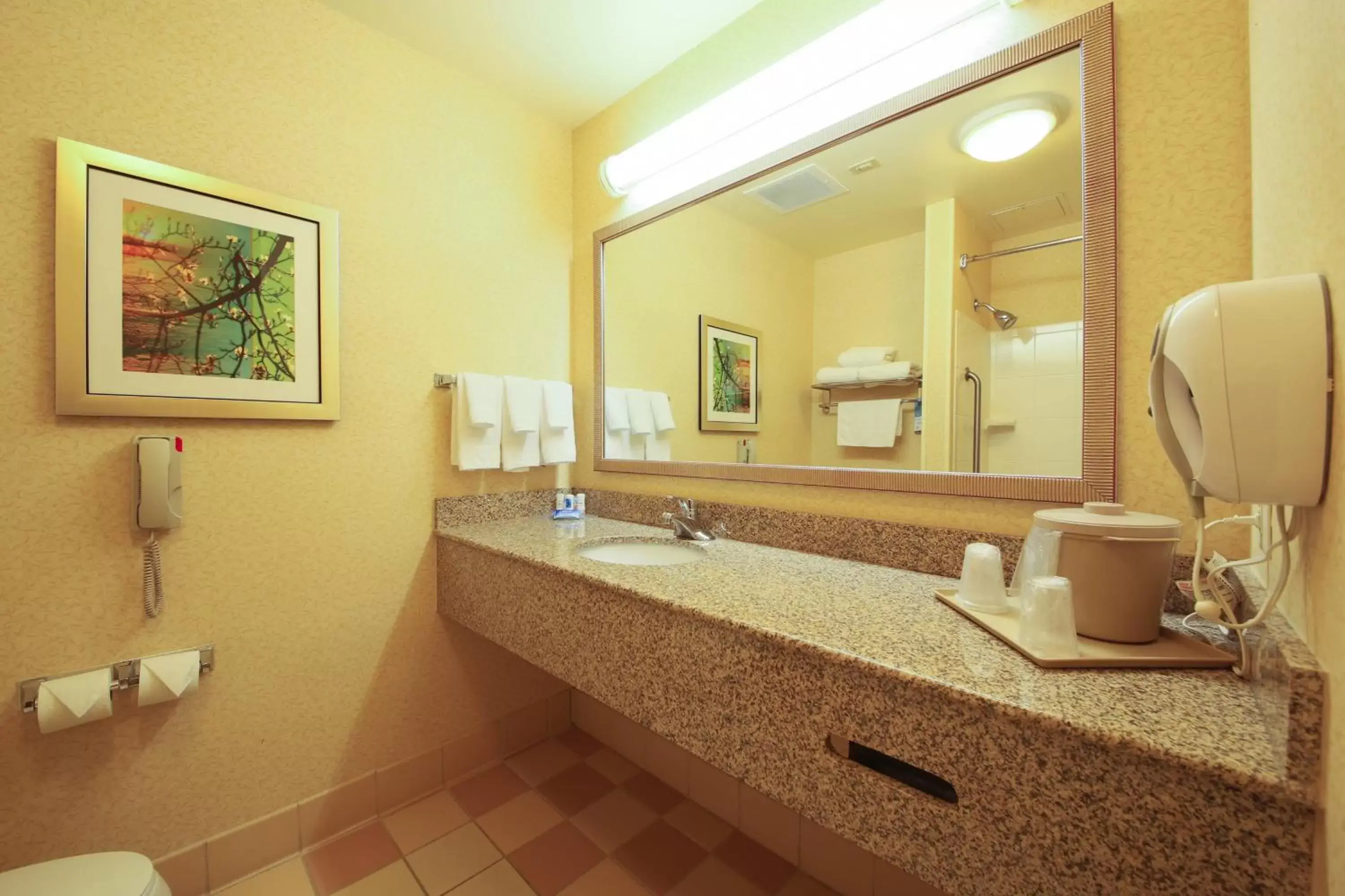 Bathroom in Fairfield Inn & Suites by Marriott Cordele
