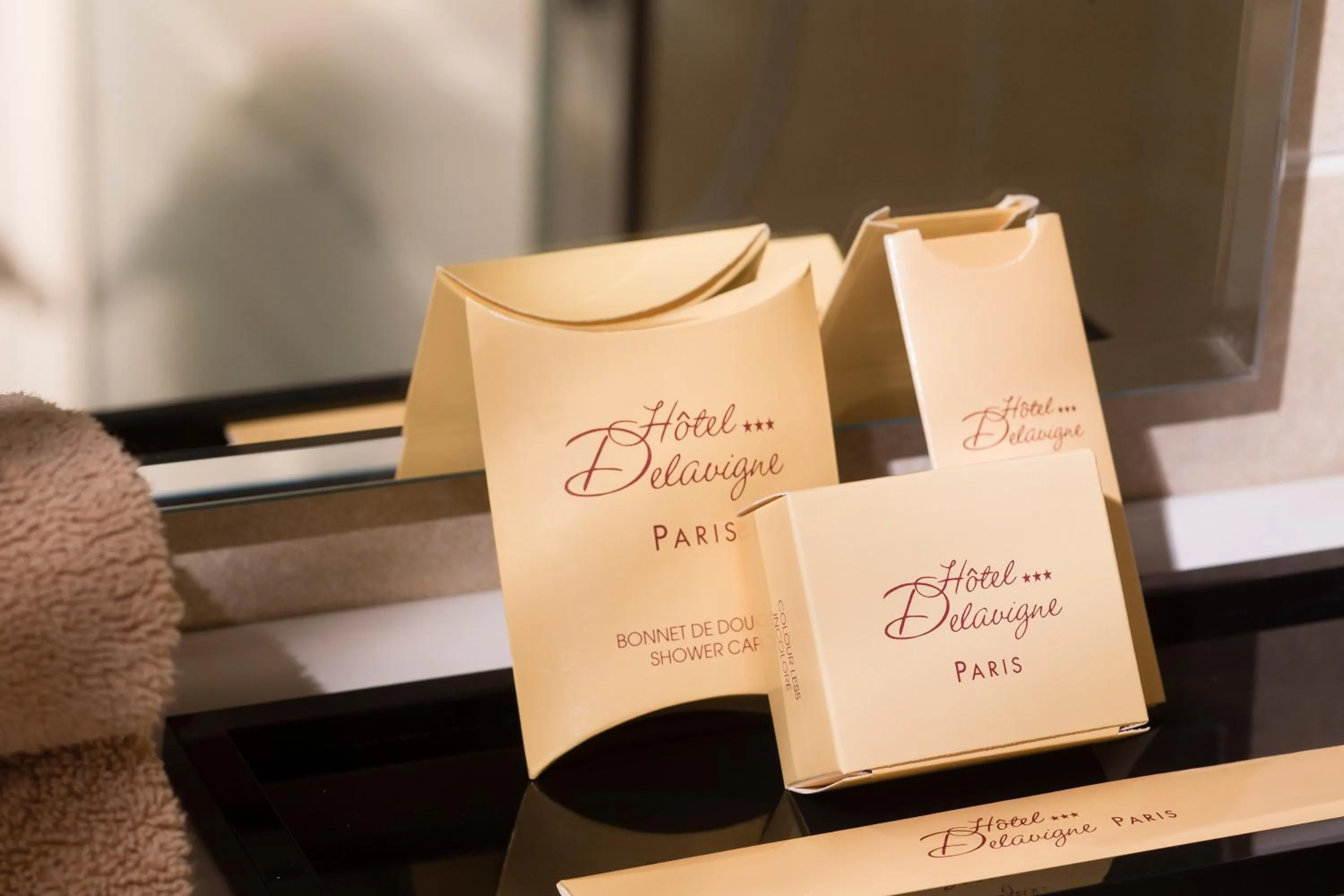 Property logo or sign in Hôtel Delavigne