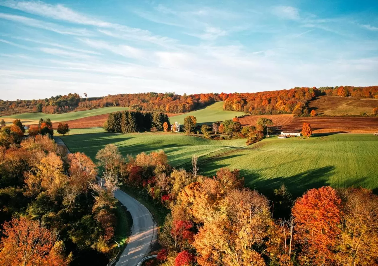 Area and facilities in Hotel One75