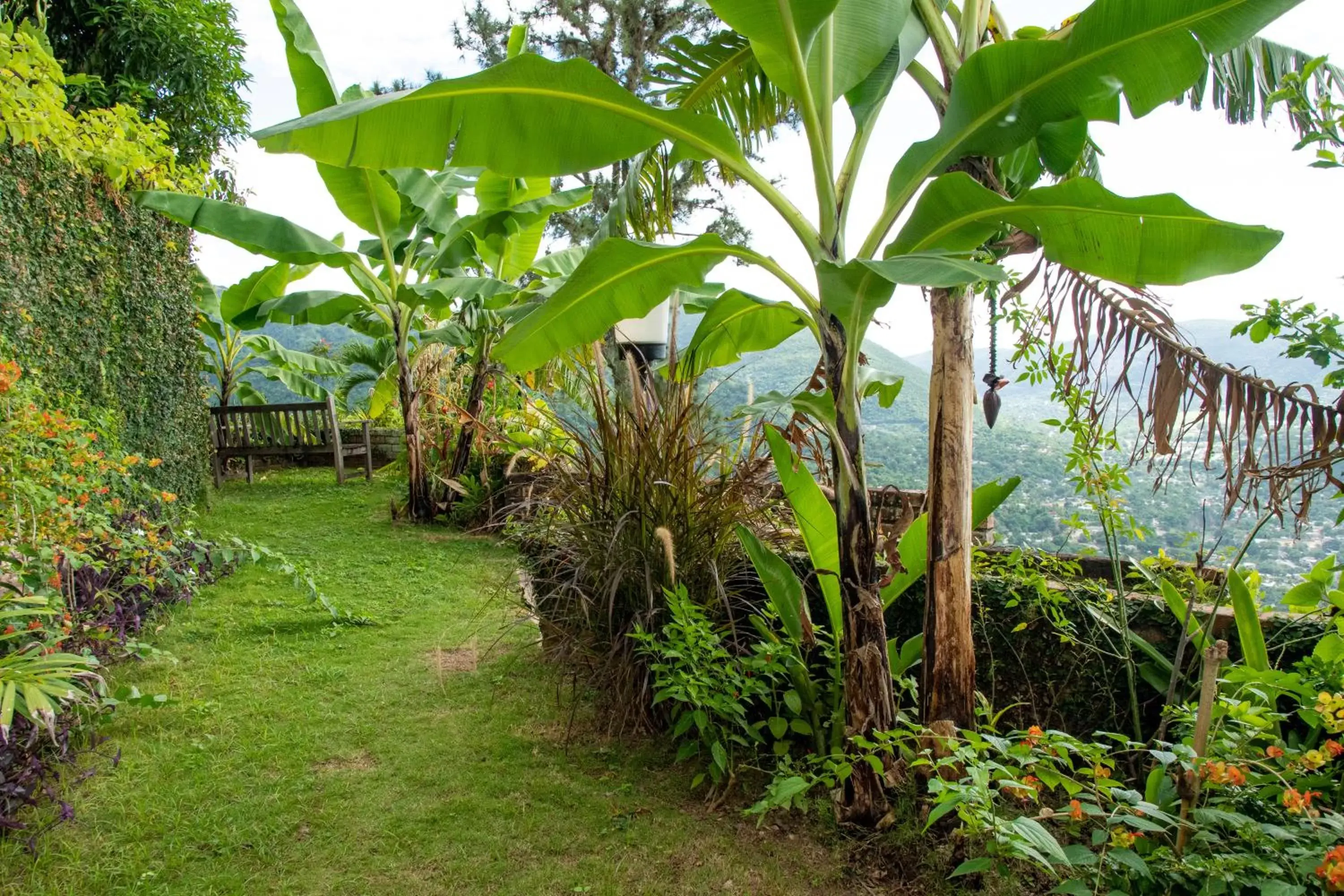 Property building, Garden in Tranquility Estate