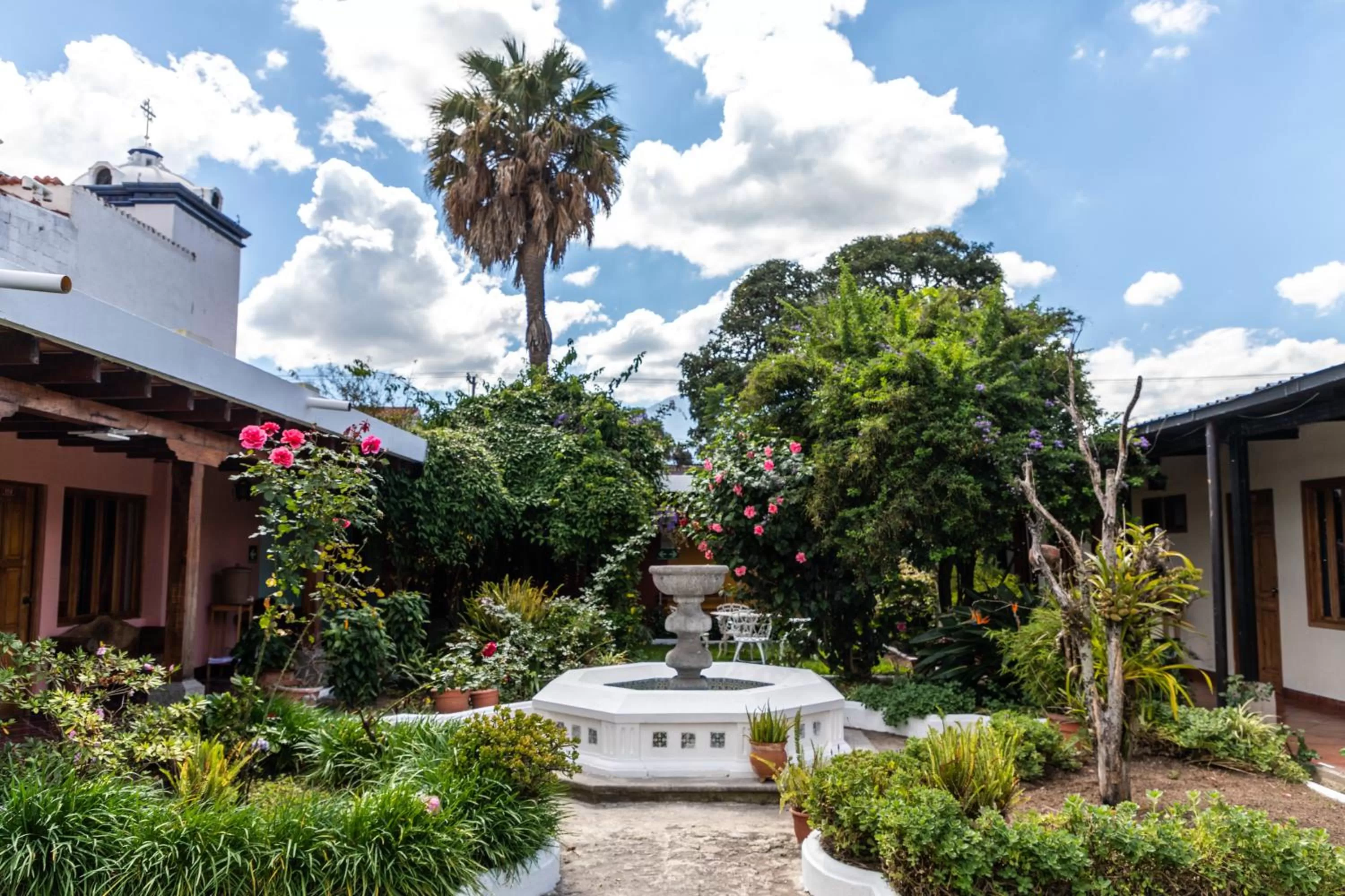 Garden in Hotel San Jorge by Porta Hotels